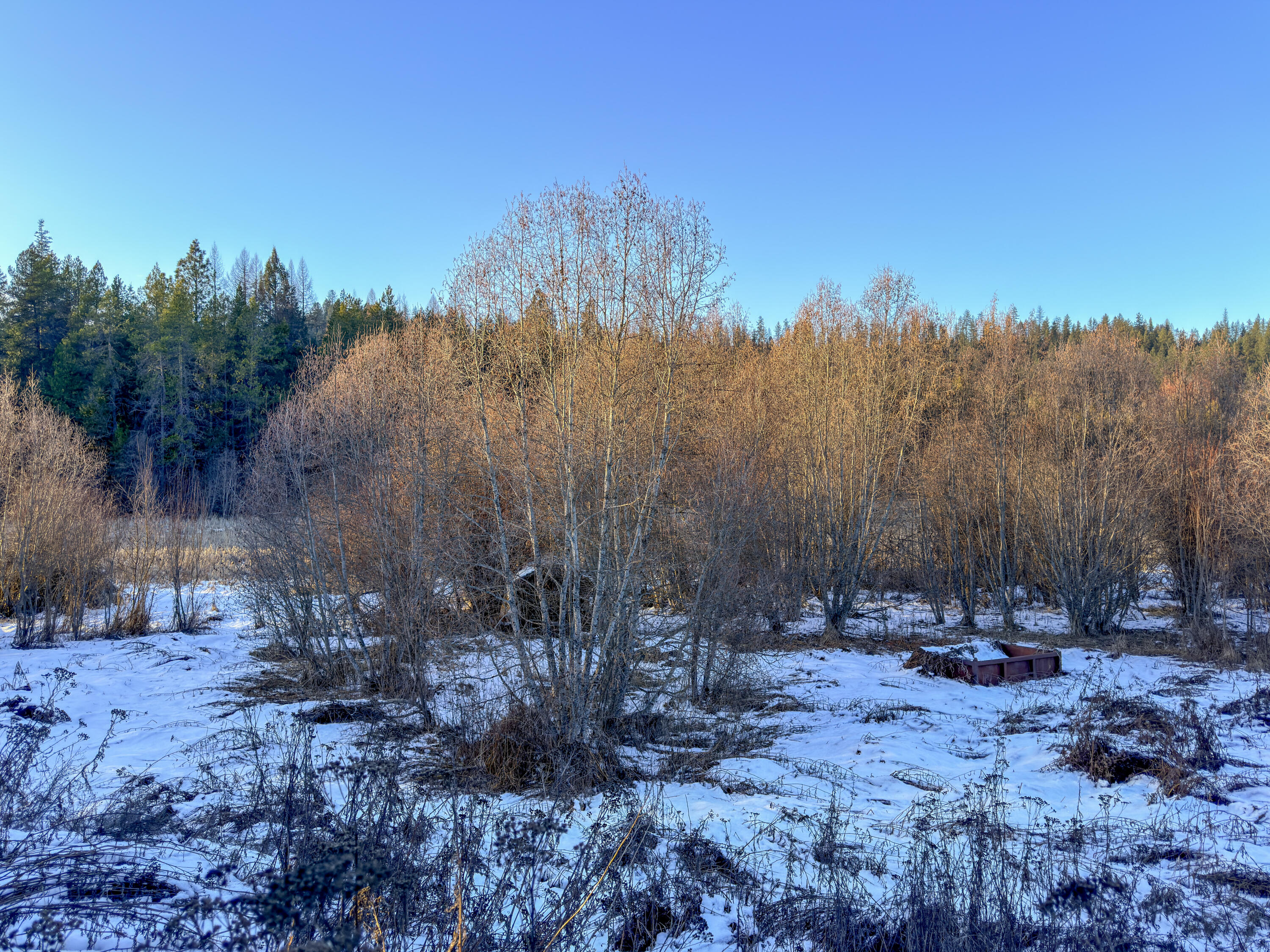 
                        Property photograph at
                        331861 HIGHWAY 2
                      