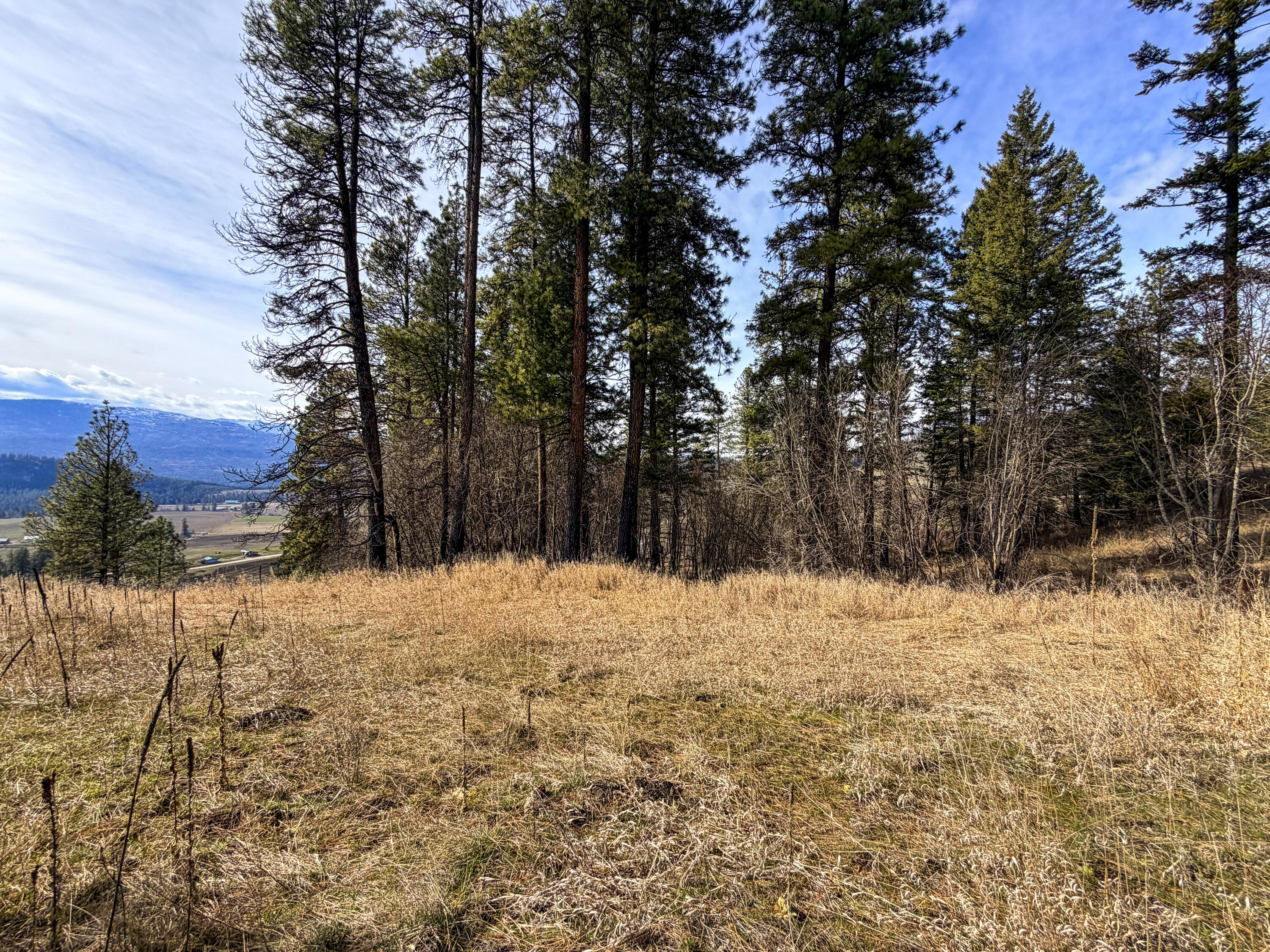 
                        Property photograph at
                        2897 MCNITT RD
                      