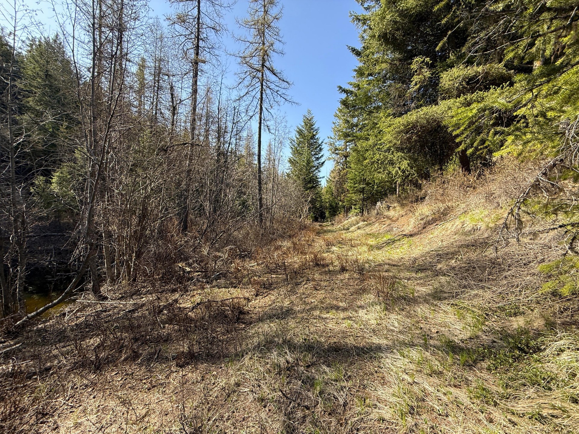 
                        Property photograph at
                        TBD GIVEOUT CREEK RD
                      