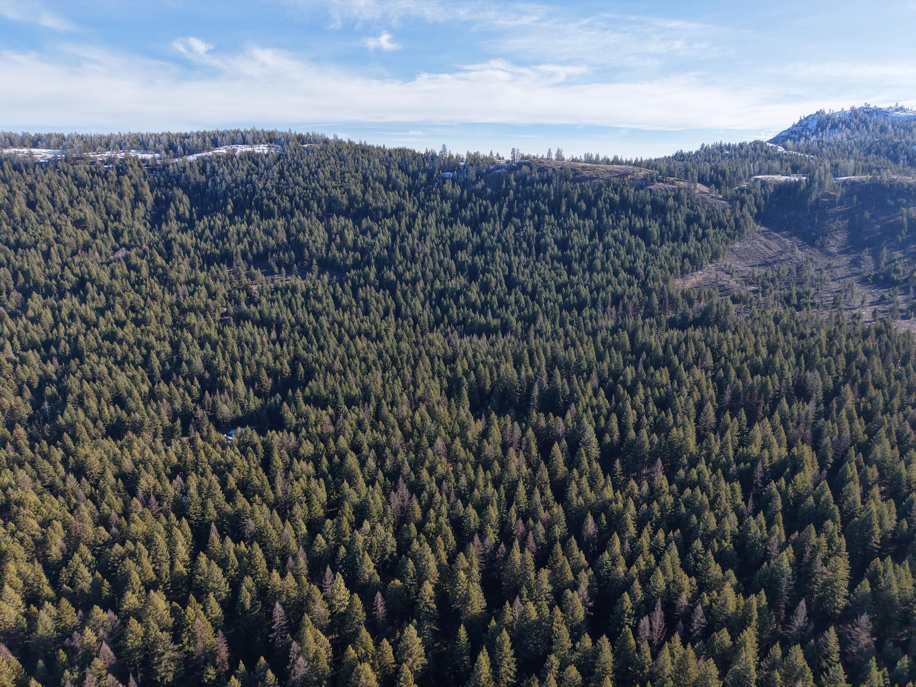 
                        Property photograph at
                        TBD LUNDIMO MEADOW RD
                      