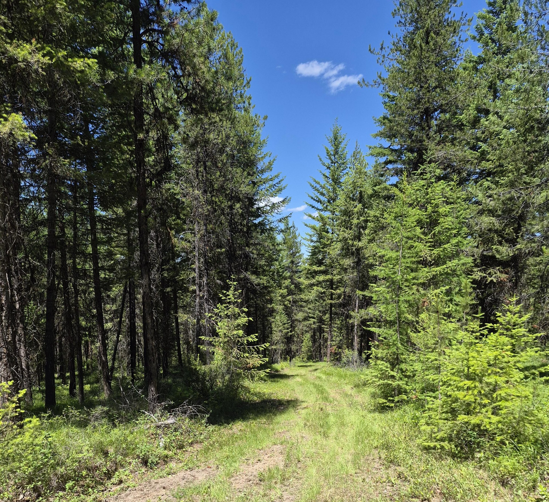 
                        Property photograph at
                        2094 CLUGSTON ONION CREEK RD
                      