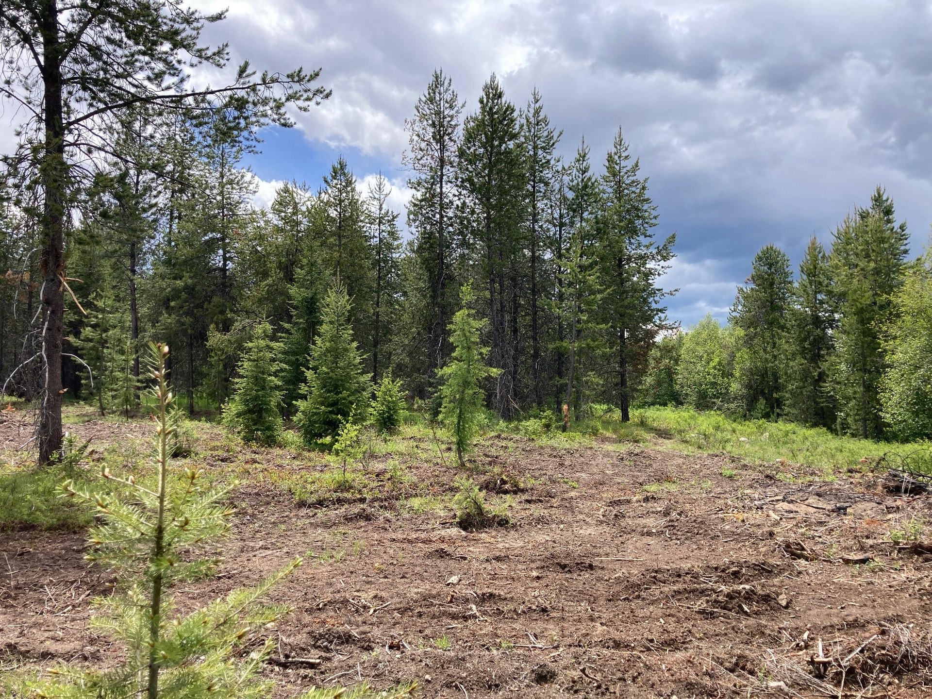 
                        Property photograph at
                        1496 E HWY 20 XX
                      