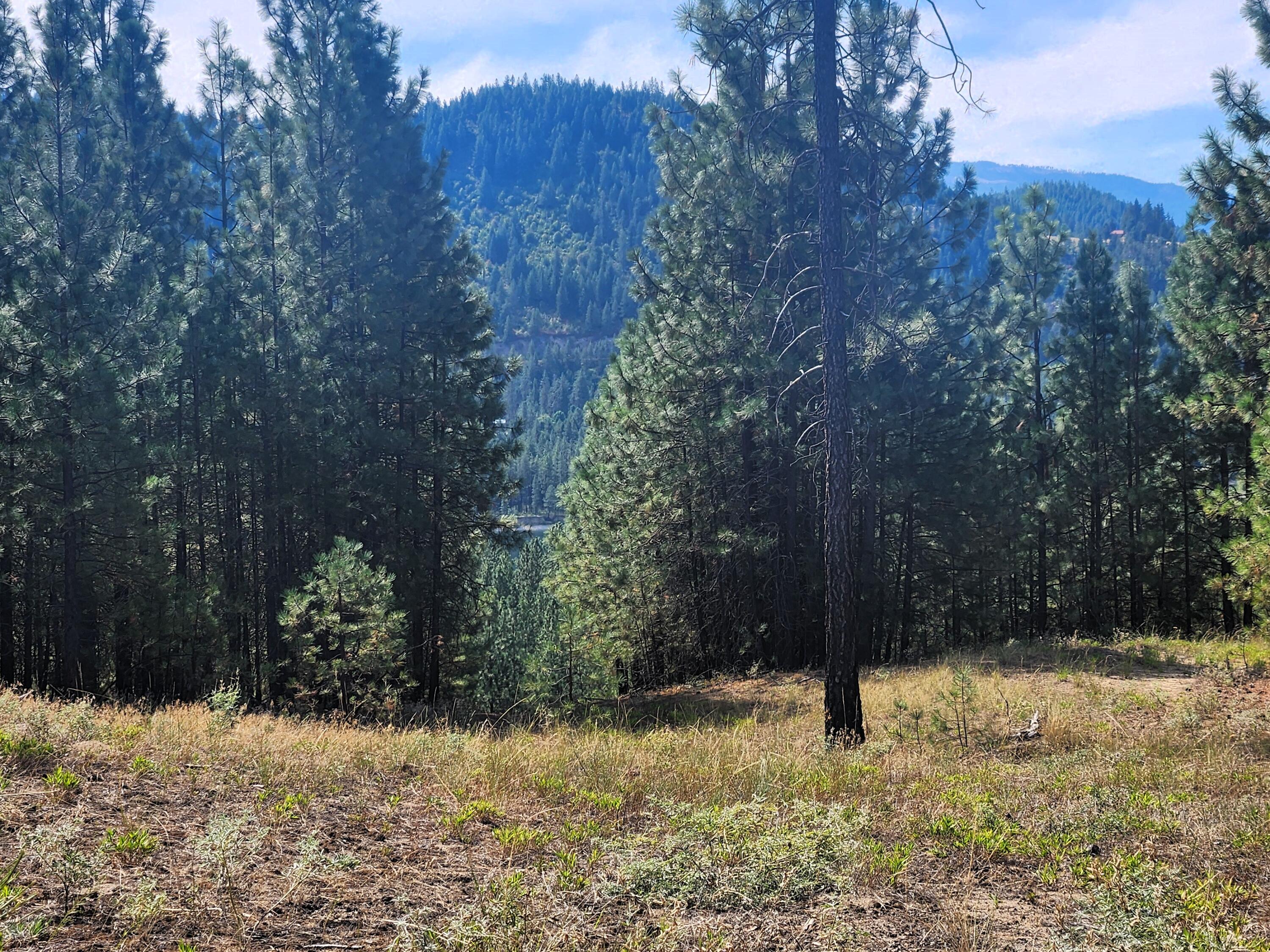 
                        Property photograph at
                        1866 K NORTHPORT FLAT CREEK RD
                      