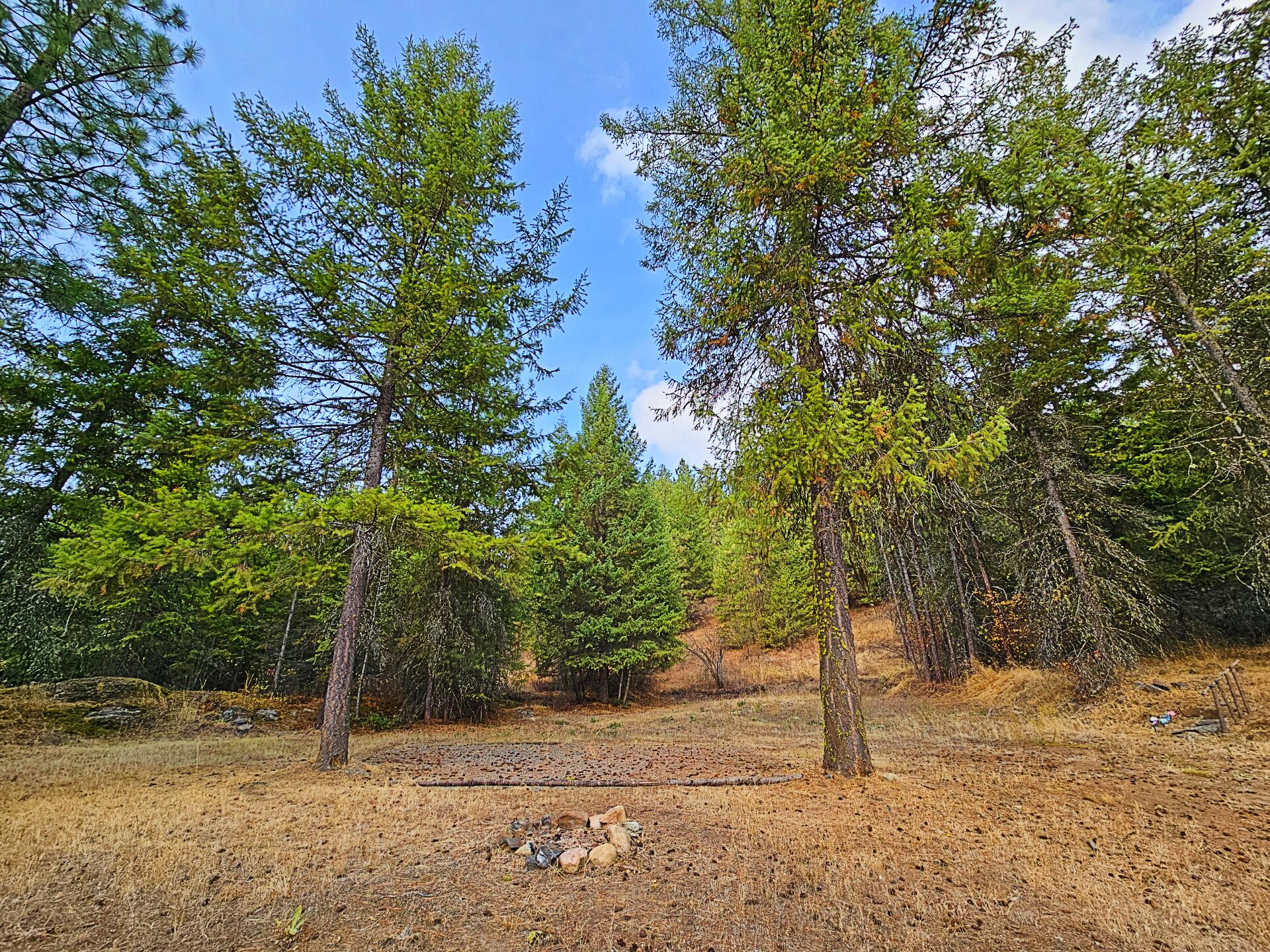 
                        Property photograph at
                        1631Q BONANZA HILL RD N
                      