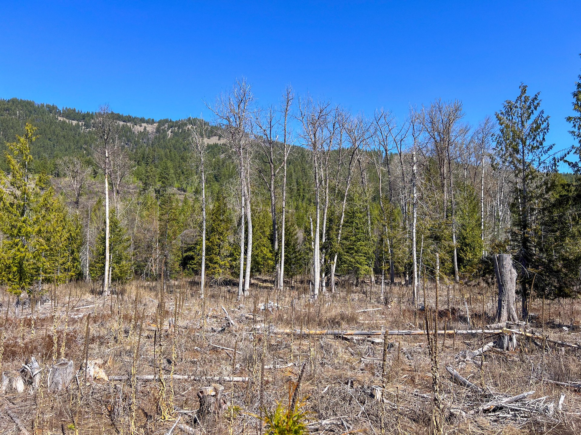 
                        Property photograph at
                        26XX FLOWERY TRAIL RD
                      