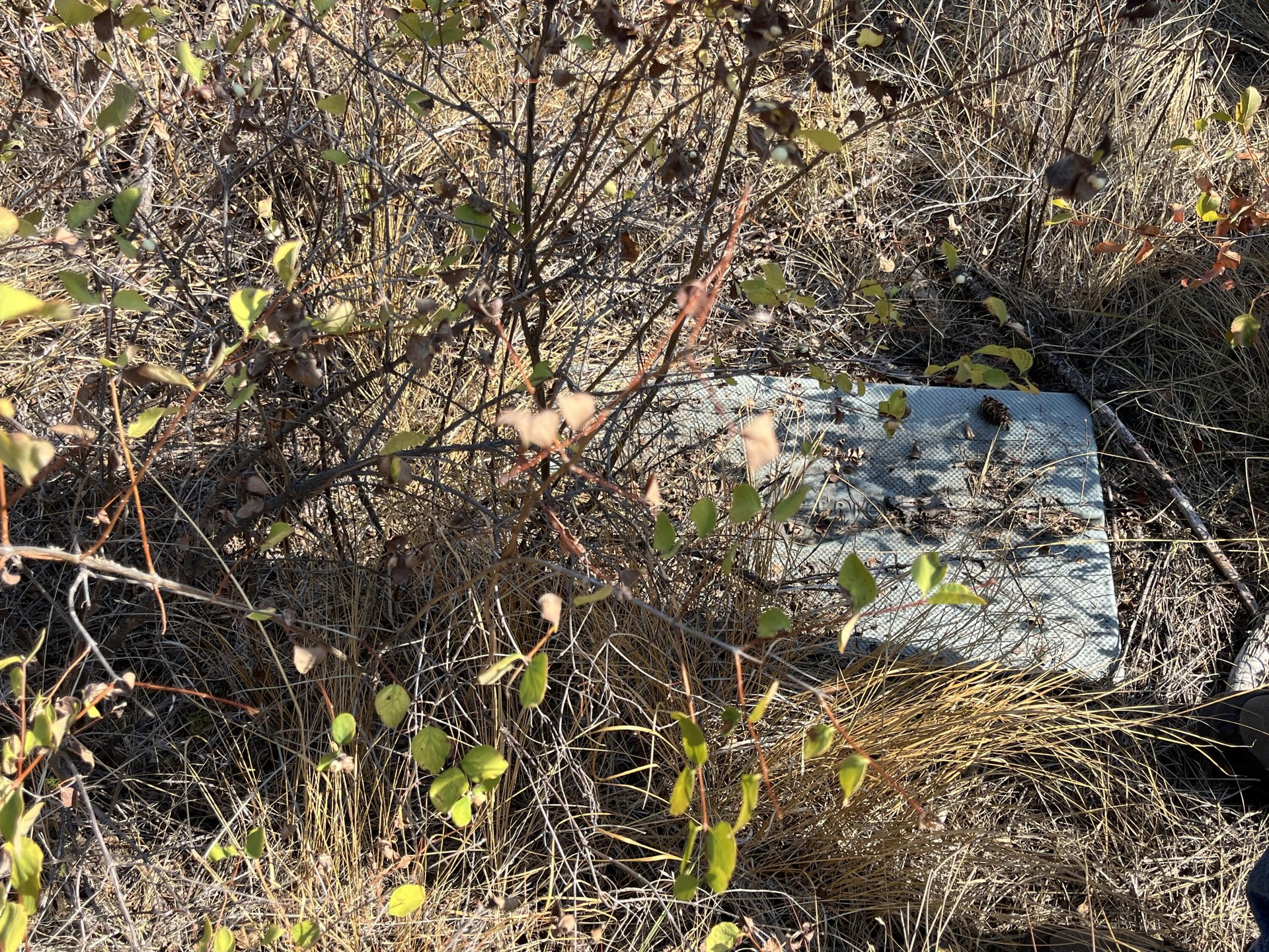 
                        Property photograph at
                        TRACT 2 COWBOYS AND ANGELS AVE
                      