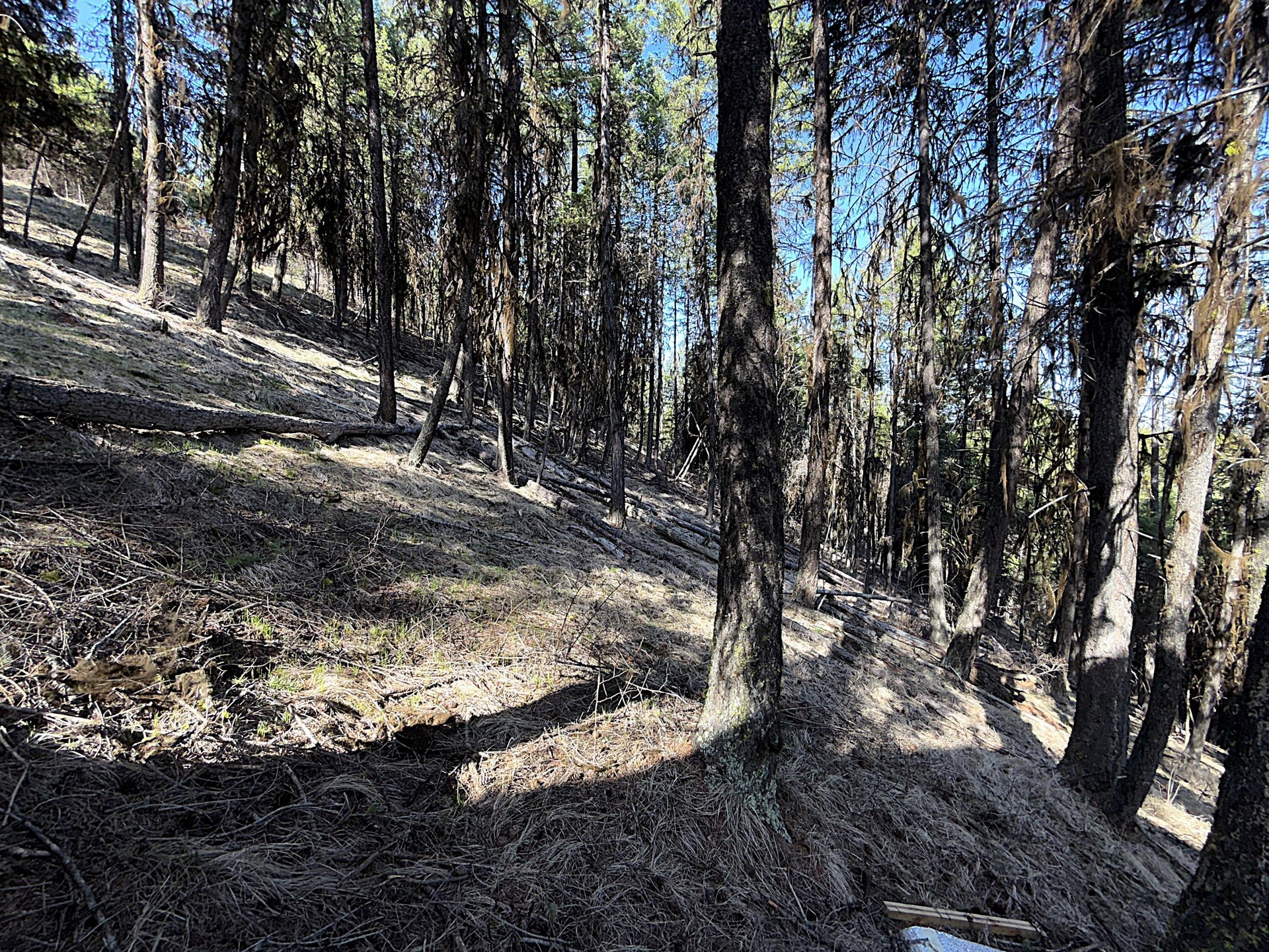 
                        Property photograph at
                        TBD GIVEOUT CREEK RD
                      