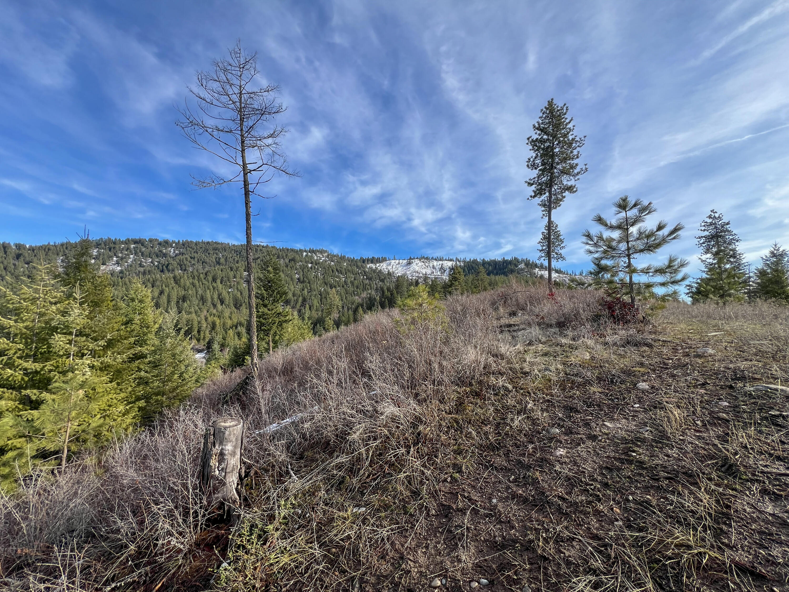 
                        Property photograph at
                        35XX HARMS WAY
                      
