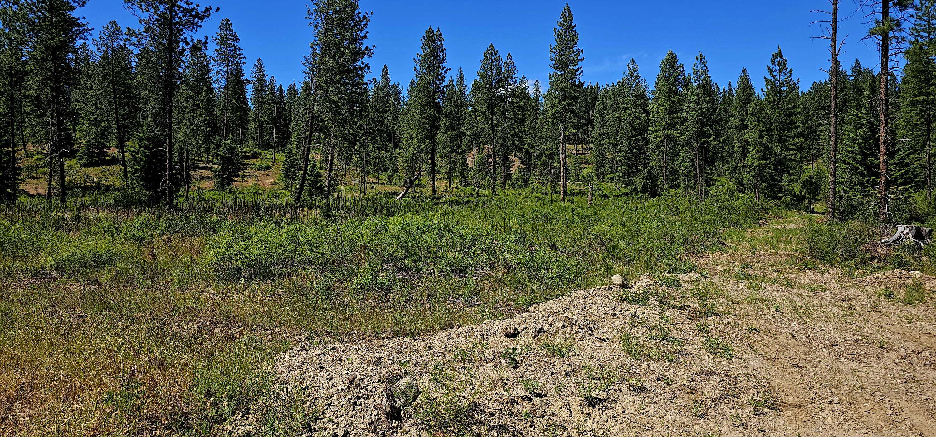 
                        Property photograph at
                        20X LYNX CREEK RD
                      