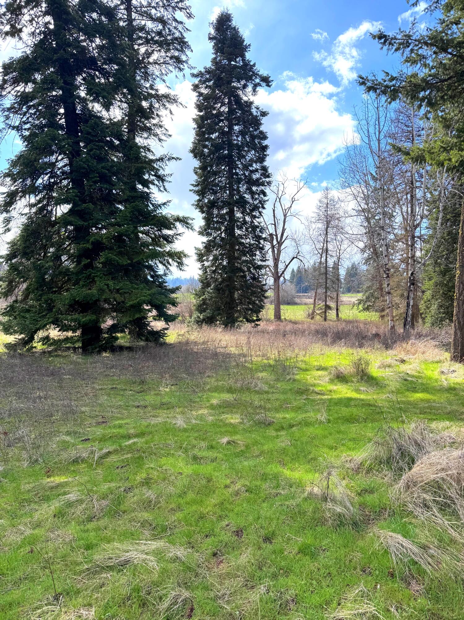 
                        Property photograph at
                        2XXX BLK E ELOIKA LAKE RD
                      