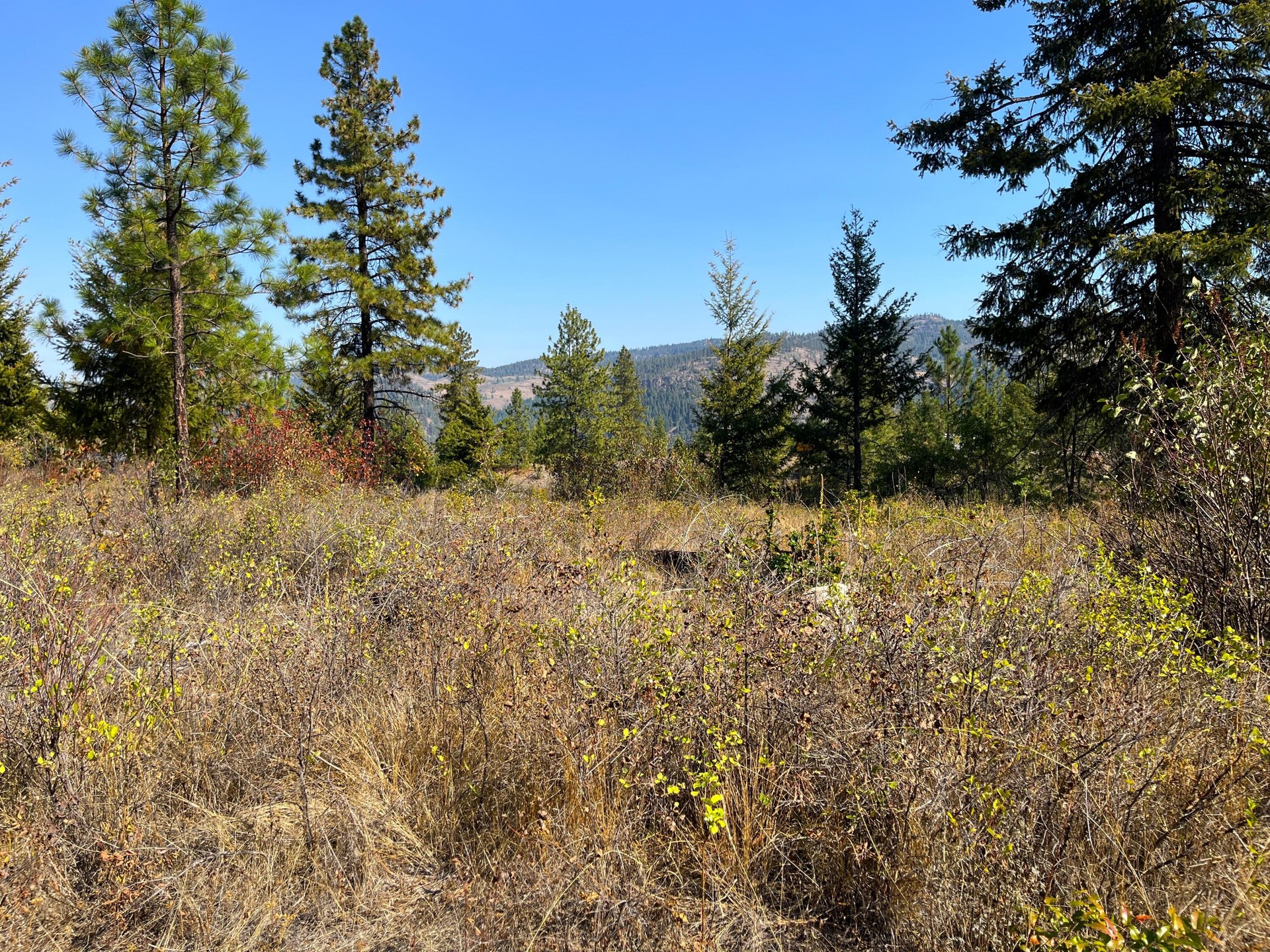 
                        Property photograph at
                        TRACT 2 COWBOYS AND ANGELS AVE
                      