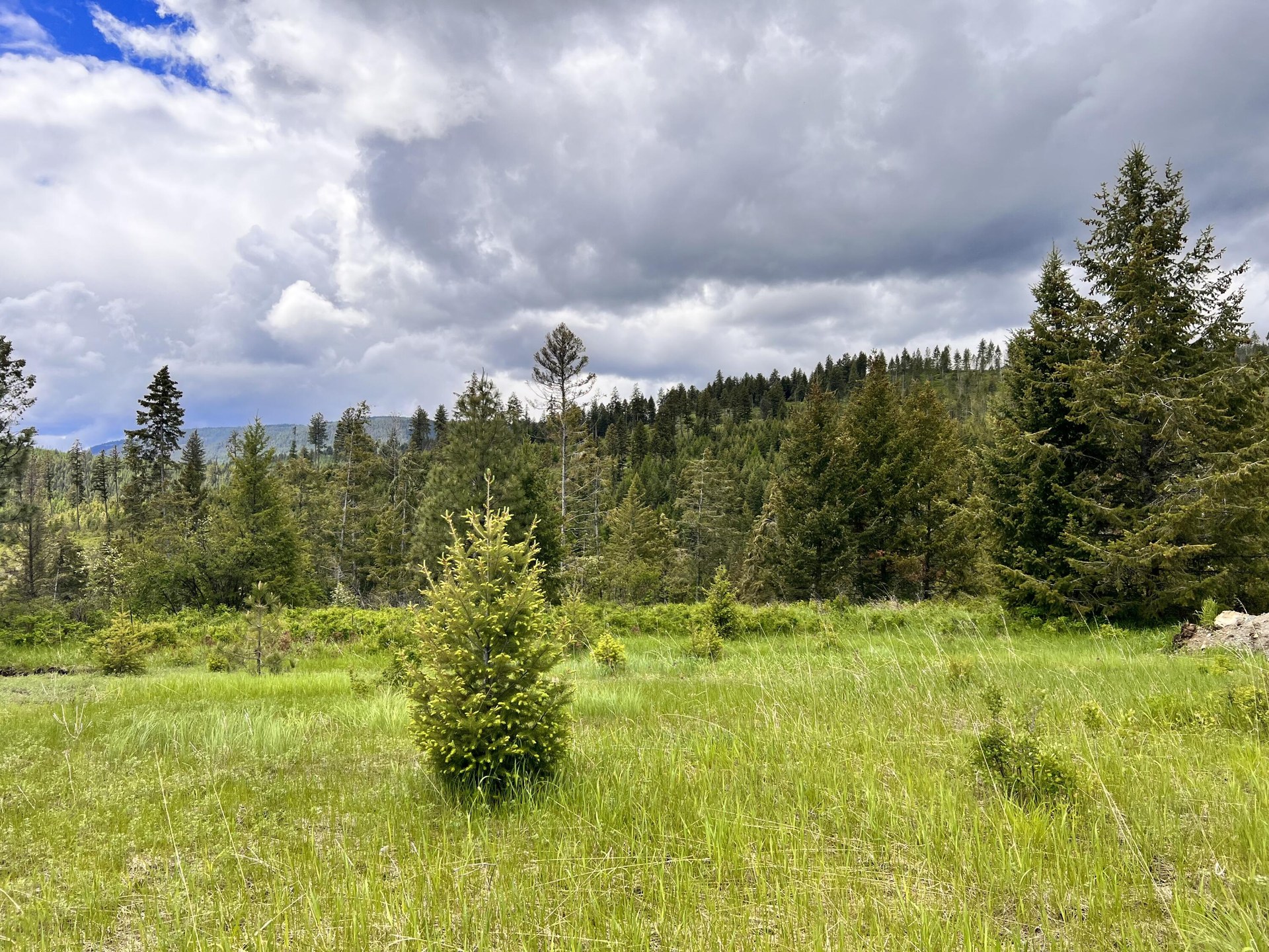
                        Property photograph at
                        TBD BIG GOOSMUS CRK RD
                      