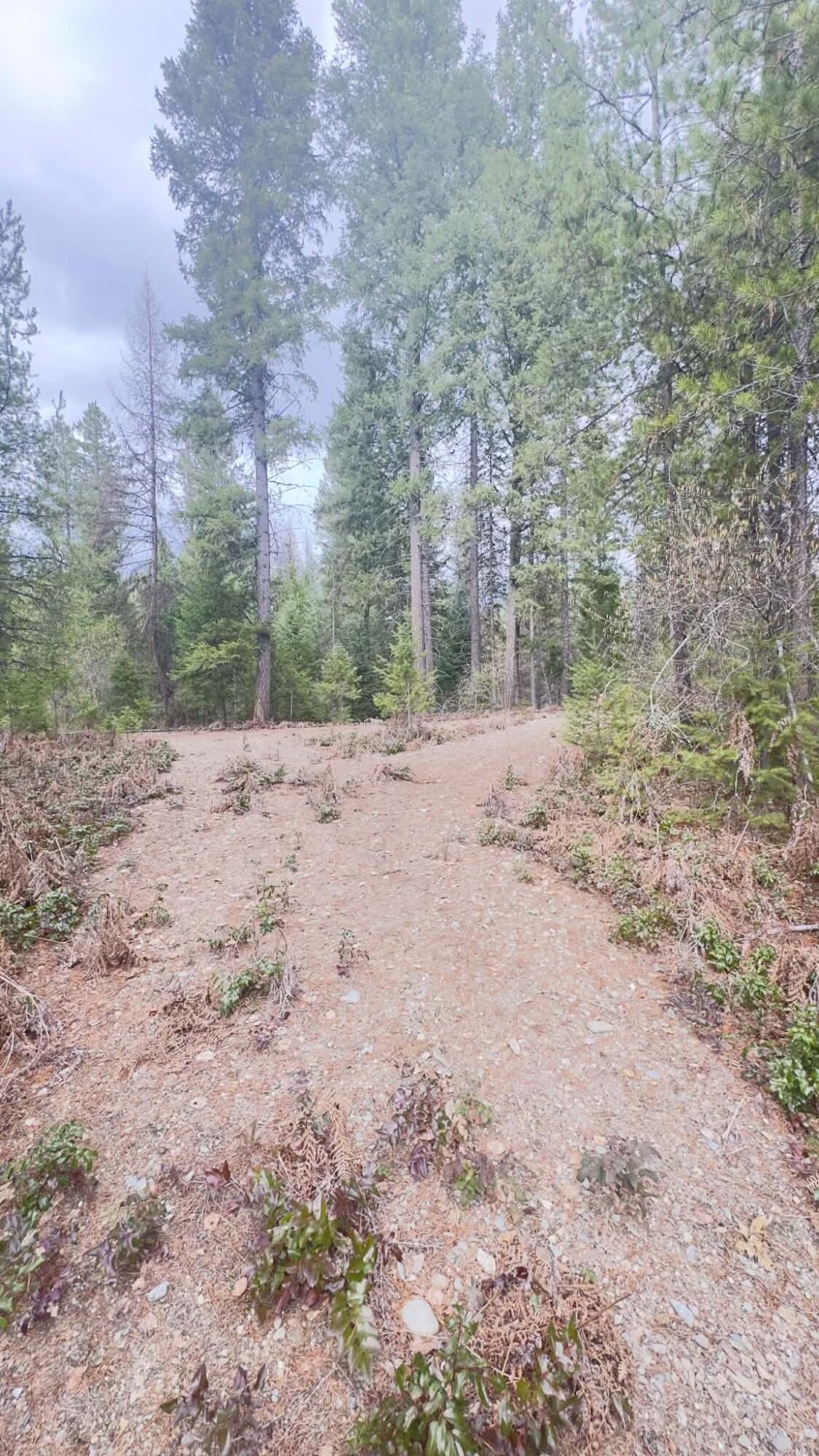 
                        Property photograph at
                        NKN WILDERNESS AVE
                      
