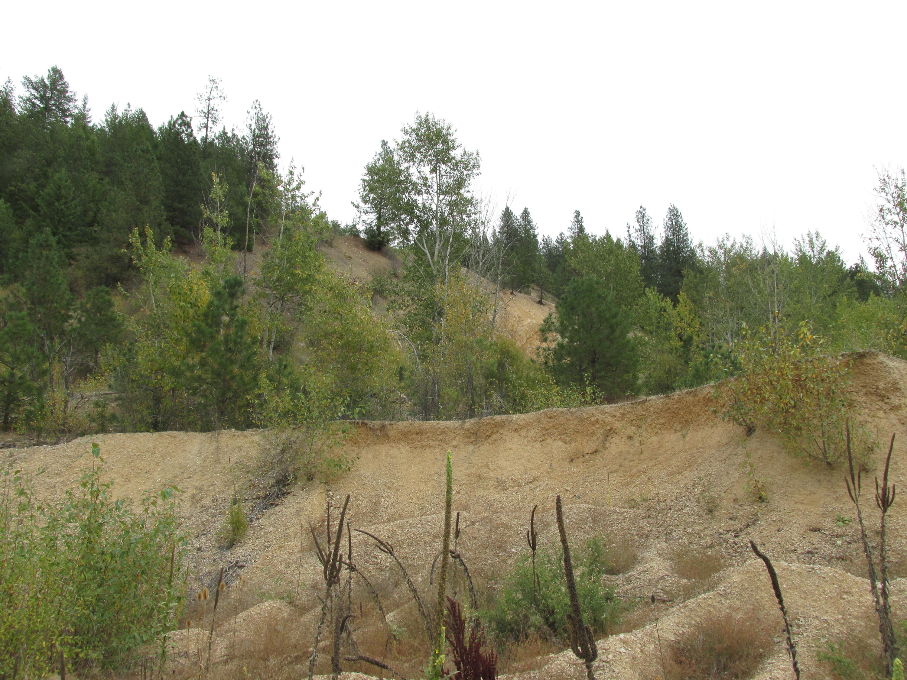 
                        Property photograph at
                        1475 US-395
                      