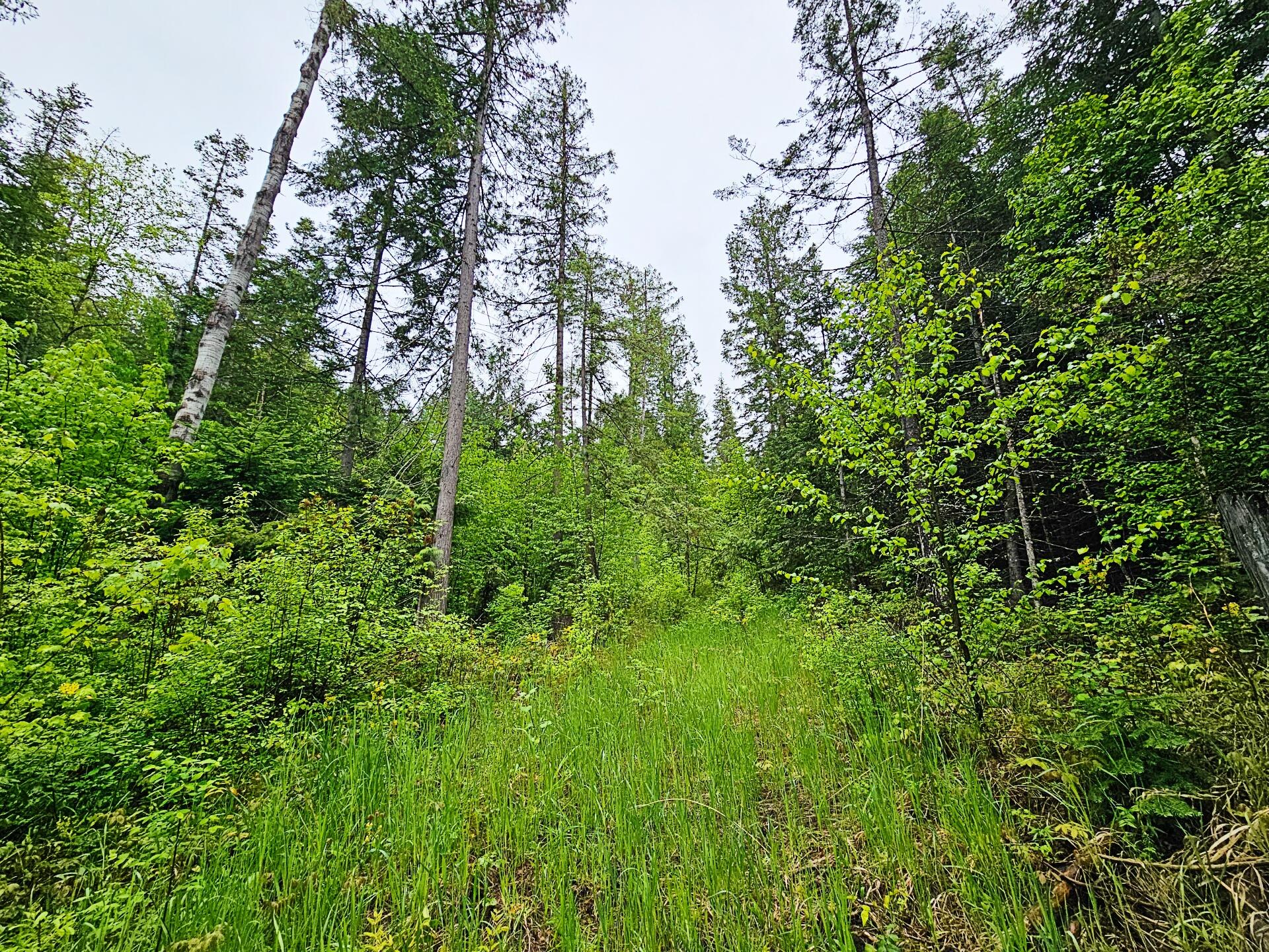 
                        Property photograph at
                        1895 TBD BLUE CREEK ROAD RD
                      