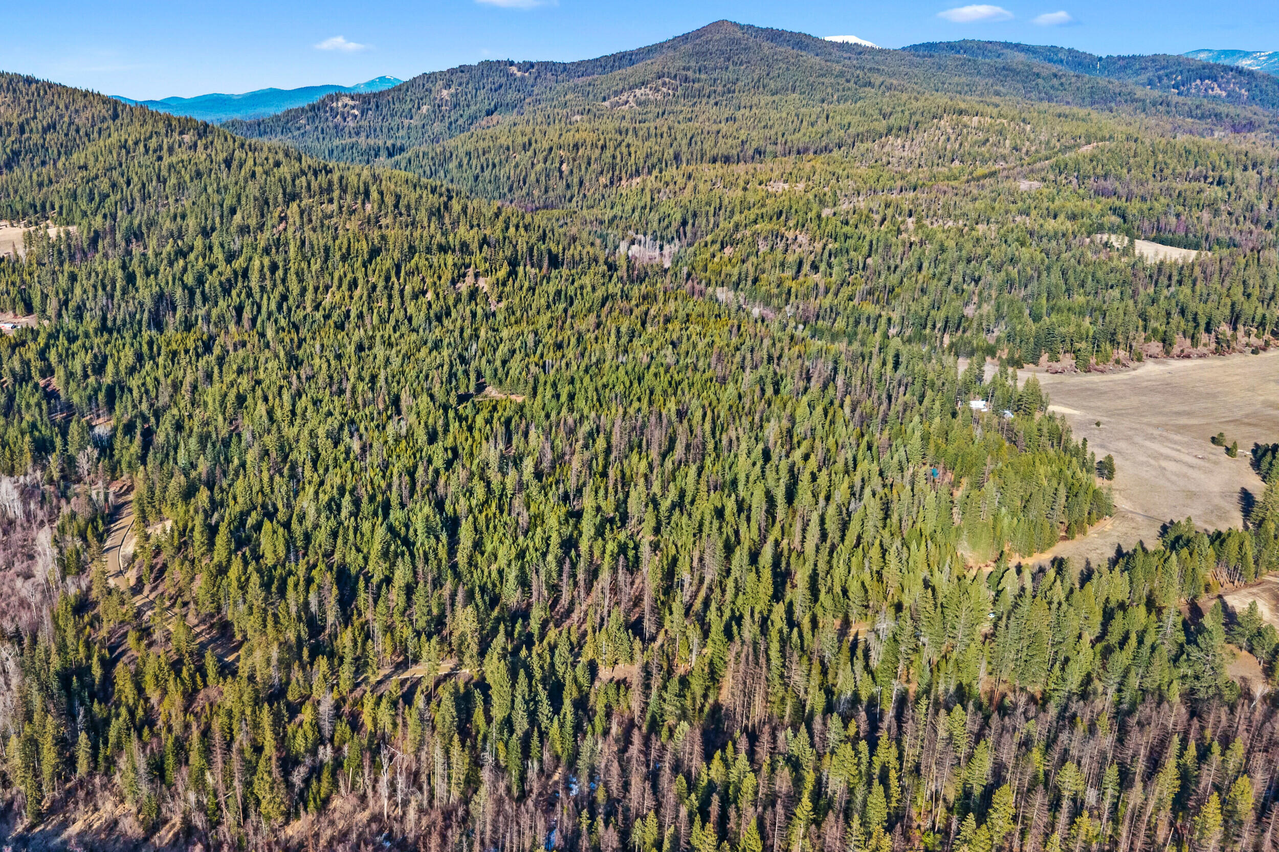
                        Property photograph at
                        2845 BURNT VALLEY (18.5AC) RD
                      