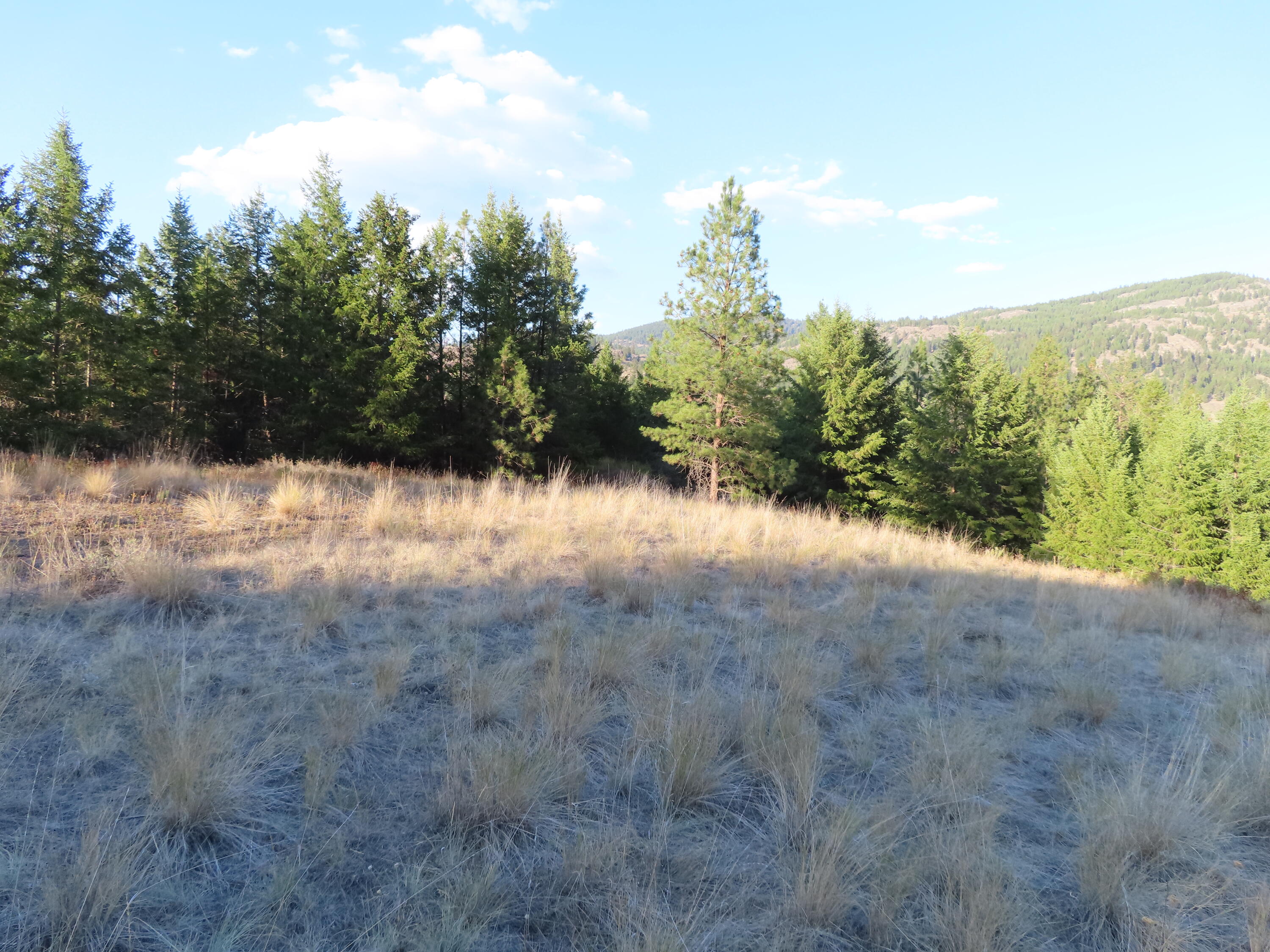 
                        Property photograph at
                        TBD TORODA CREEK RD
                      