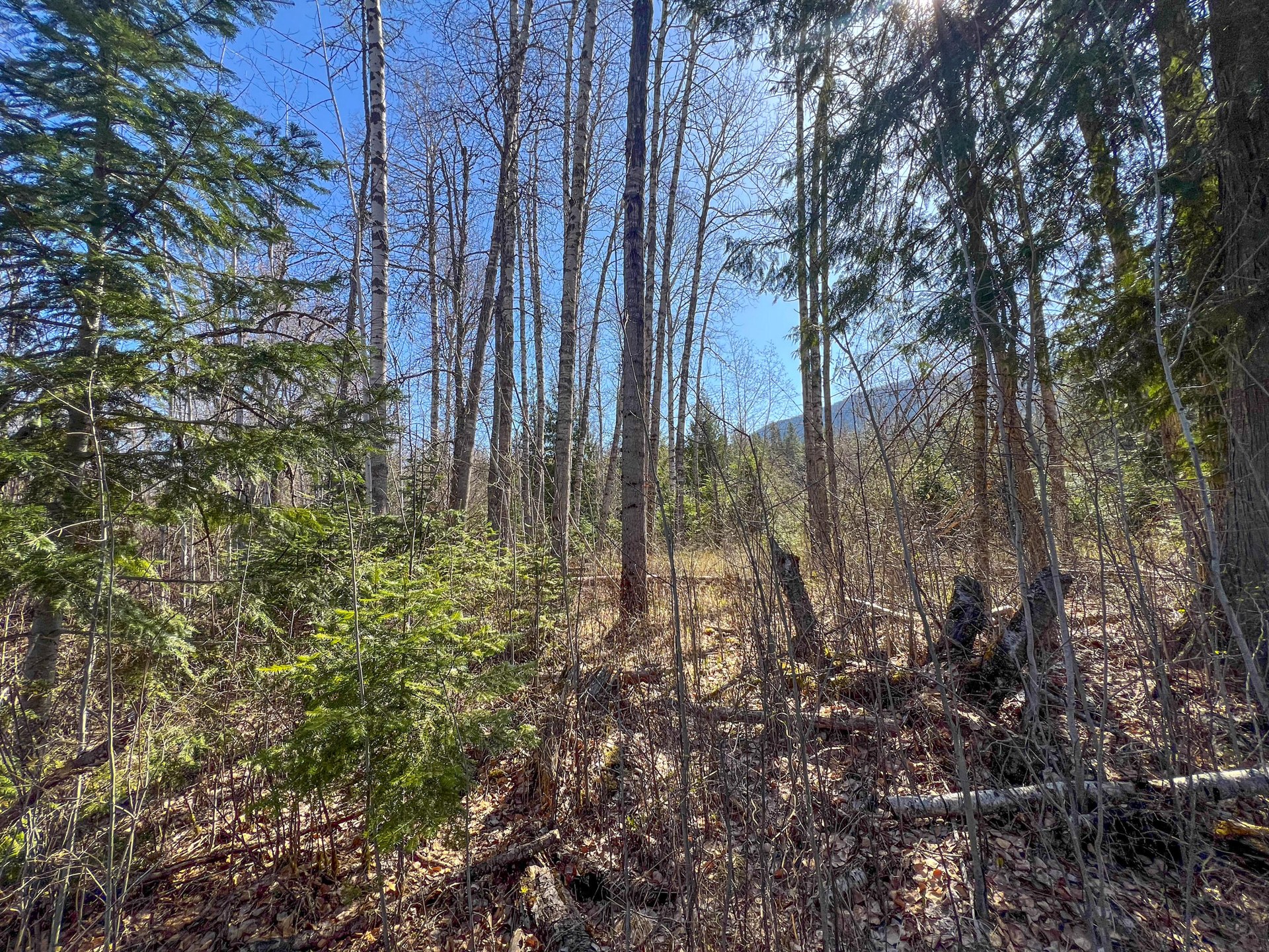 
                        Property photograph at
                        26XX FLOWERY TRAIL RD
                      