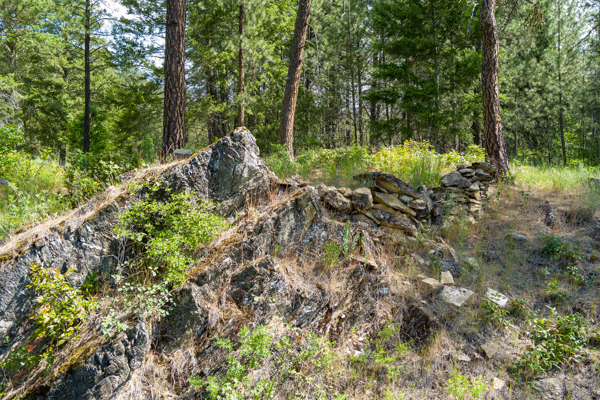 
                        Property photograph at
                        1763-I U.S. 395
                      