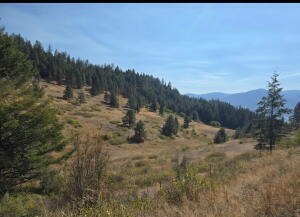 
                        Property photograph at
                        TBD GOLD HILL LOT C RD
                      