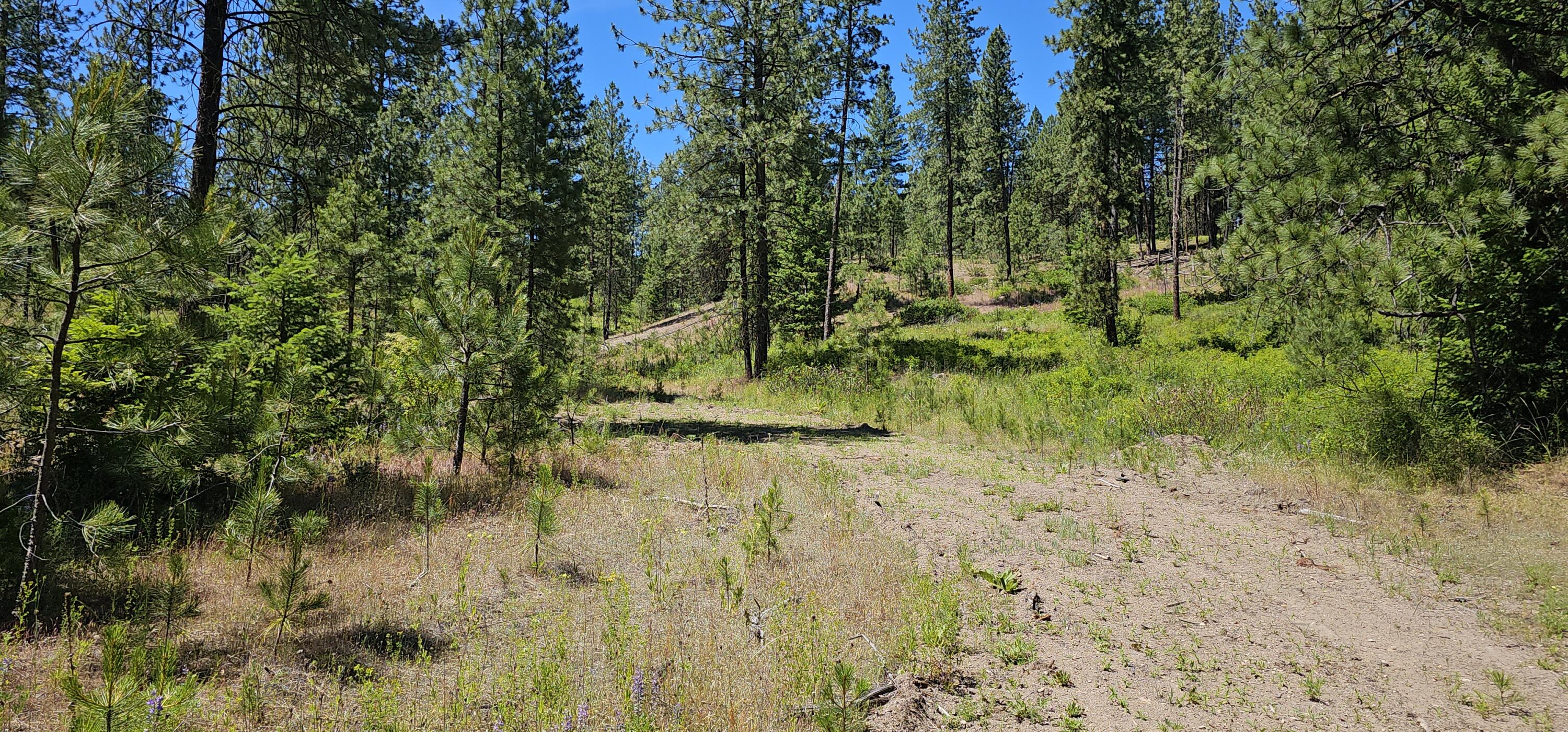 
                        Property photograph at
                        20X LYNX CREEK RD
                      