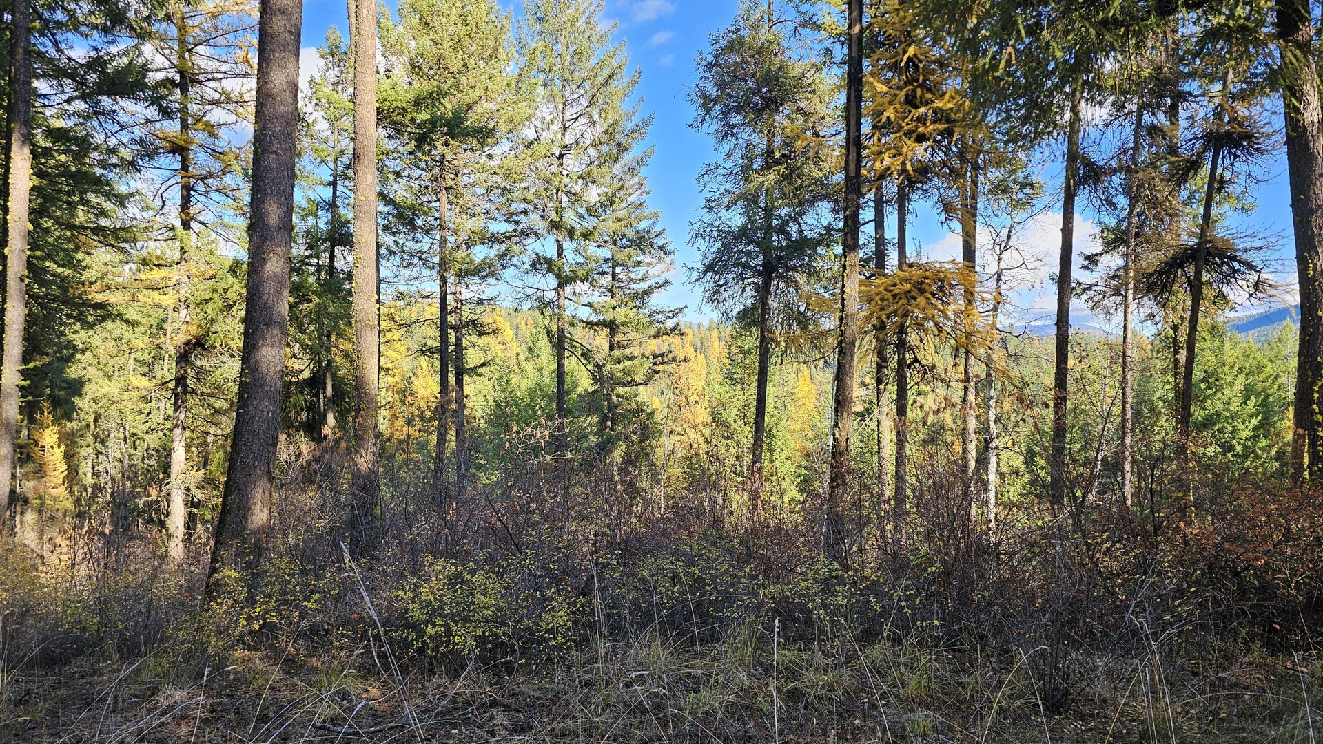 
                        Property photograph at
                        700 DRY GULCH RD
                      