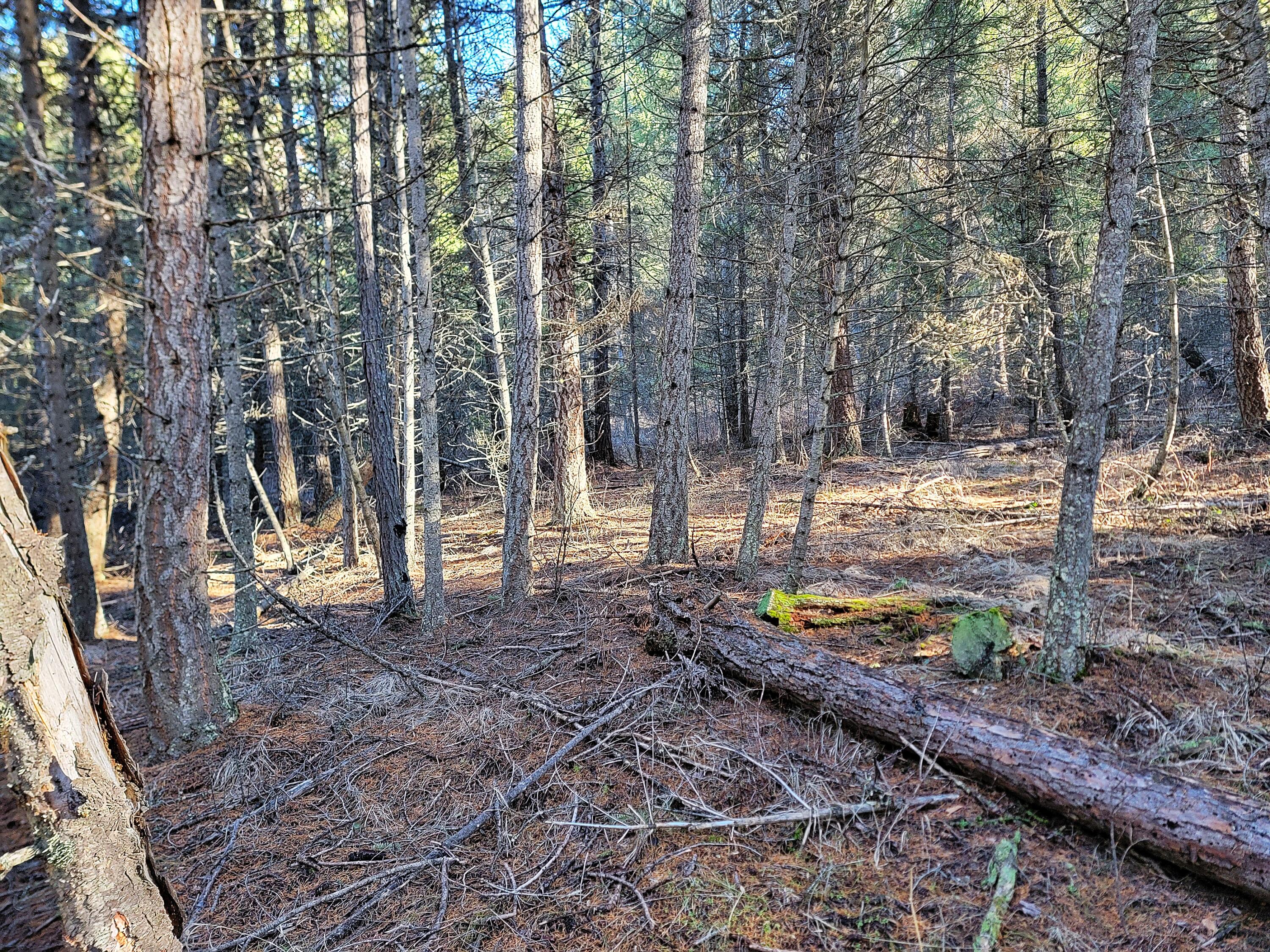 
                        Property photograph at
                        TBD LUNDIMO MEADOW RD
                      