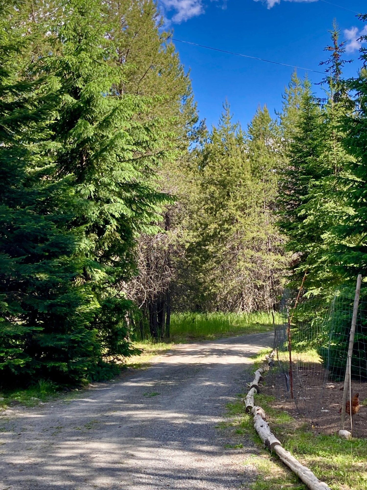 
                        Property photograph at
                        1496 Q HIGHWAY 20 E
                      