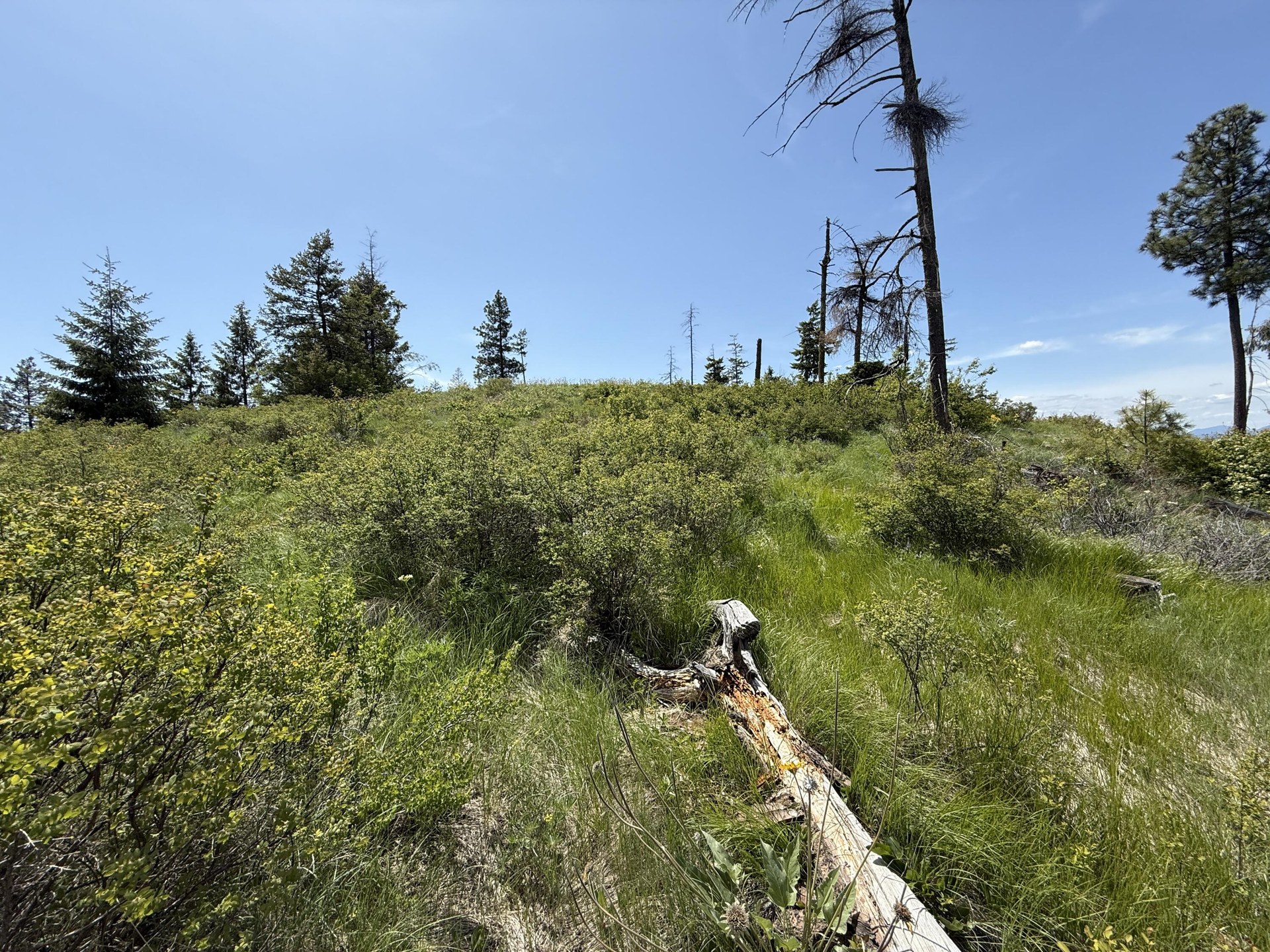 
                        Property photograph at
                        3774-C DAISY MINE RD
                      