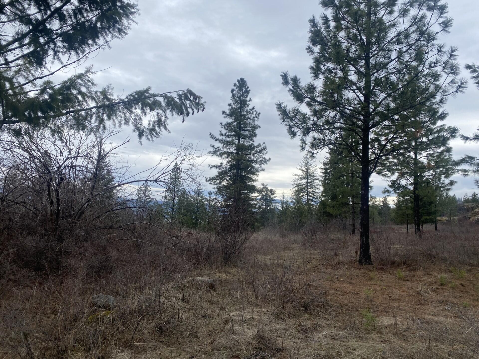 
                        Property photograph at
                        TRACT 2 COWBOYS AND ANGELS AVE
                      