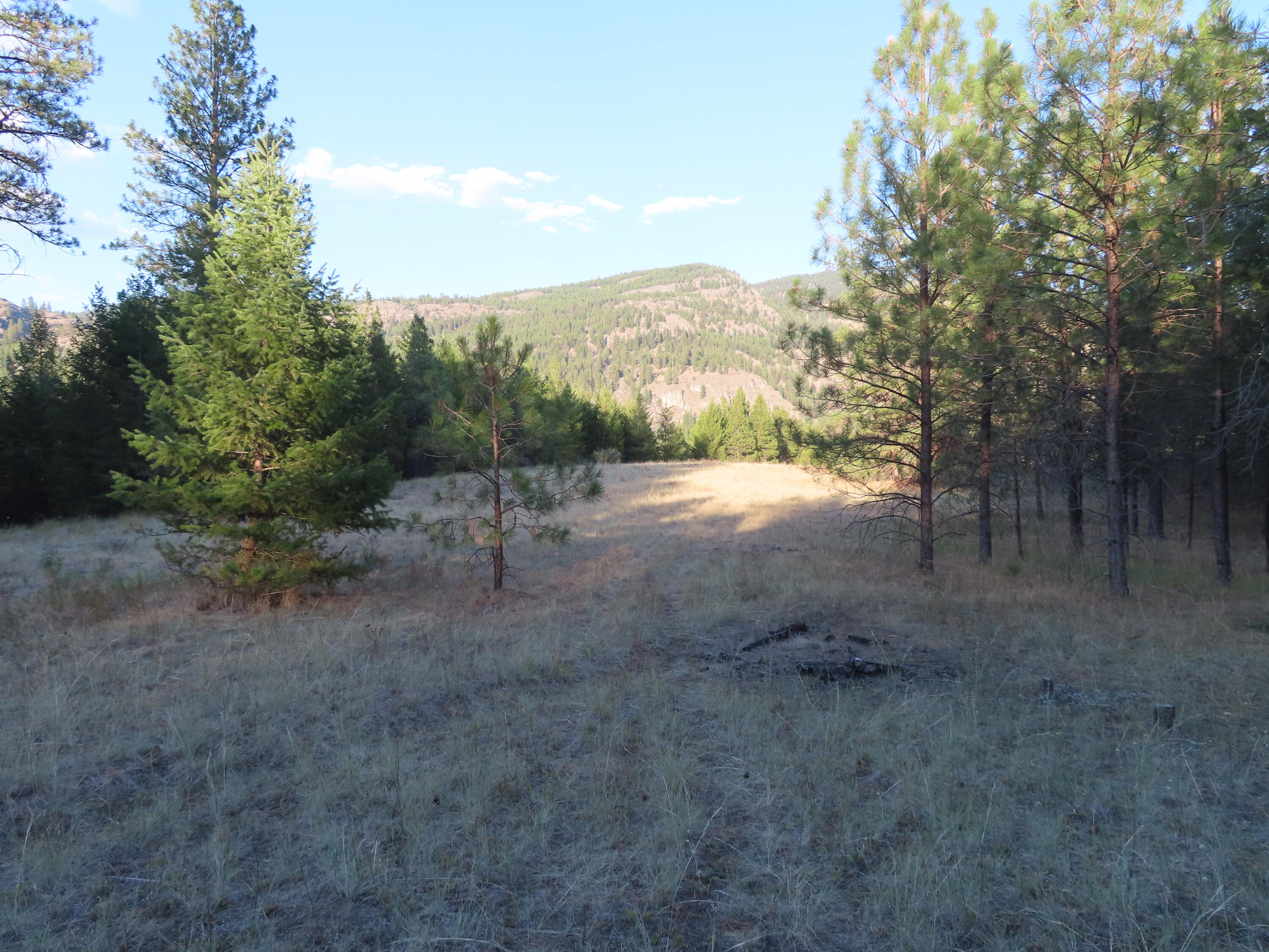 
                        Property photograph at
                        TBD TORODA CREEK RD
                      
