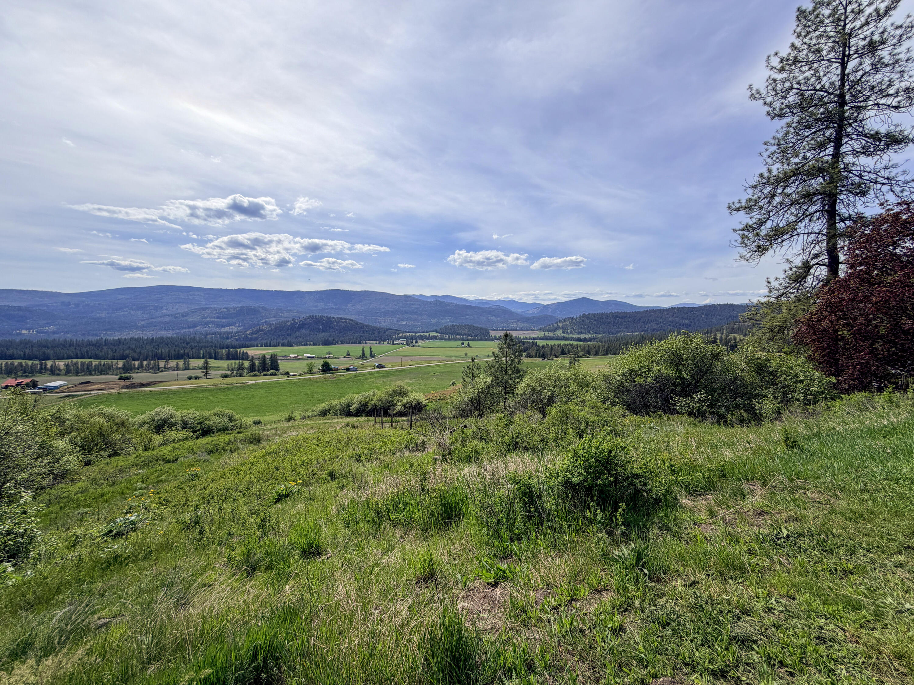 
                        Property photograph at
                        2897 MCNITT RD
                      