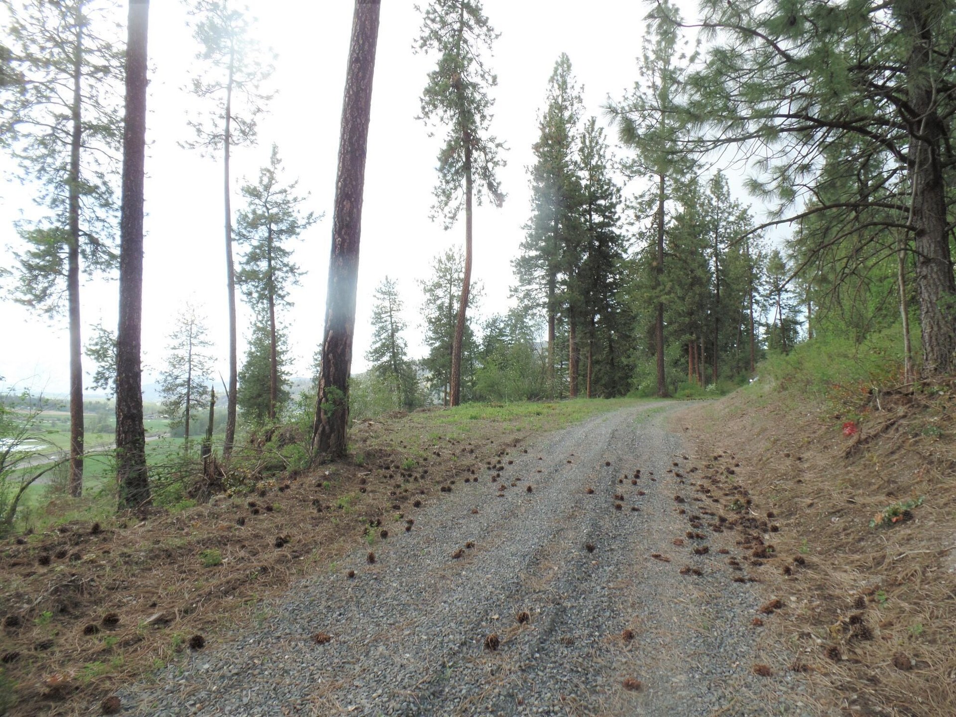 
                        Property photograph at
                        2XX HWY 395 N #B
                      