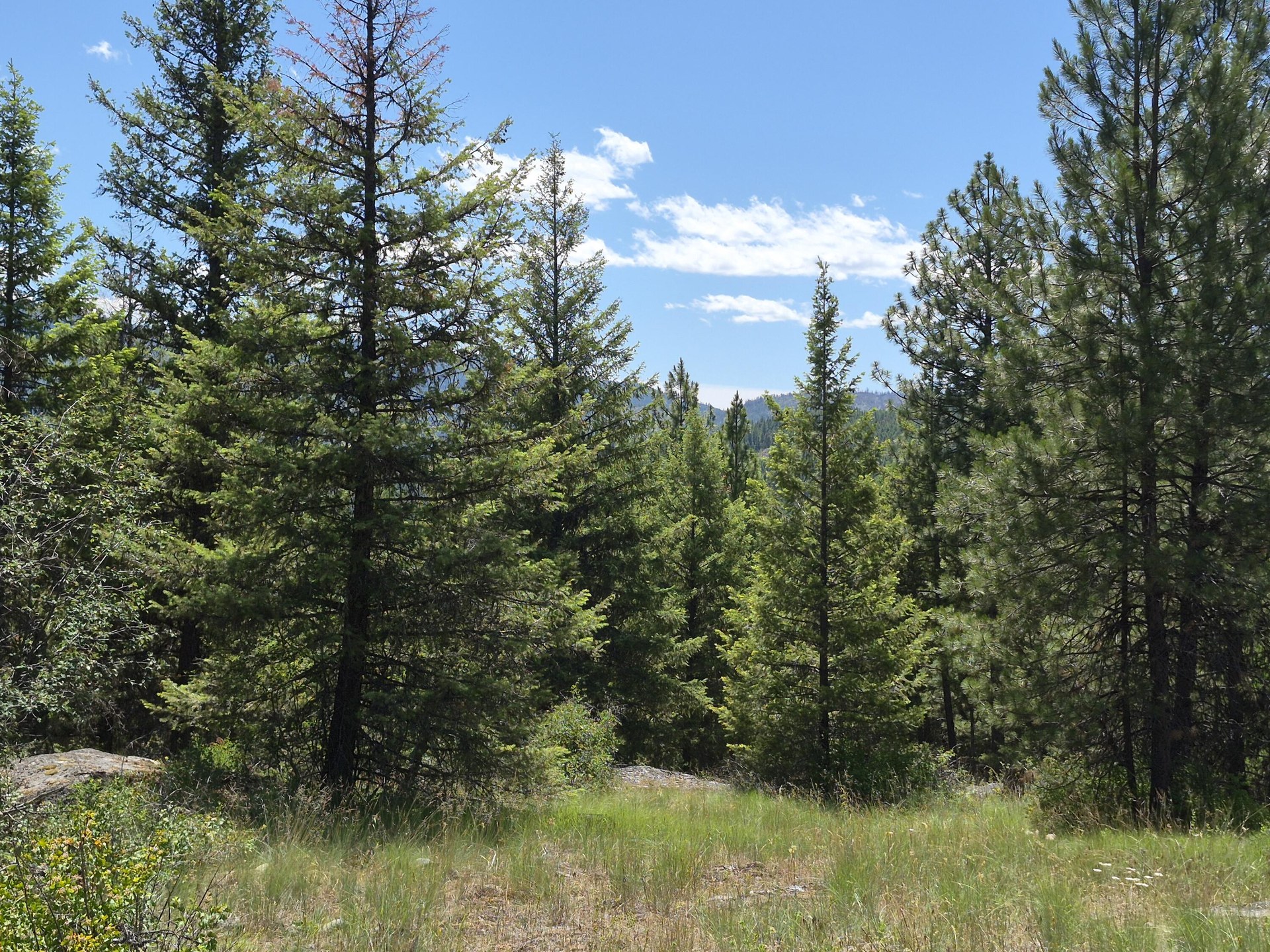 
                        Property photograph at
                        2094 CLUGSTON ONION CREEK RD
                      