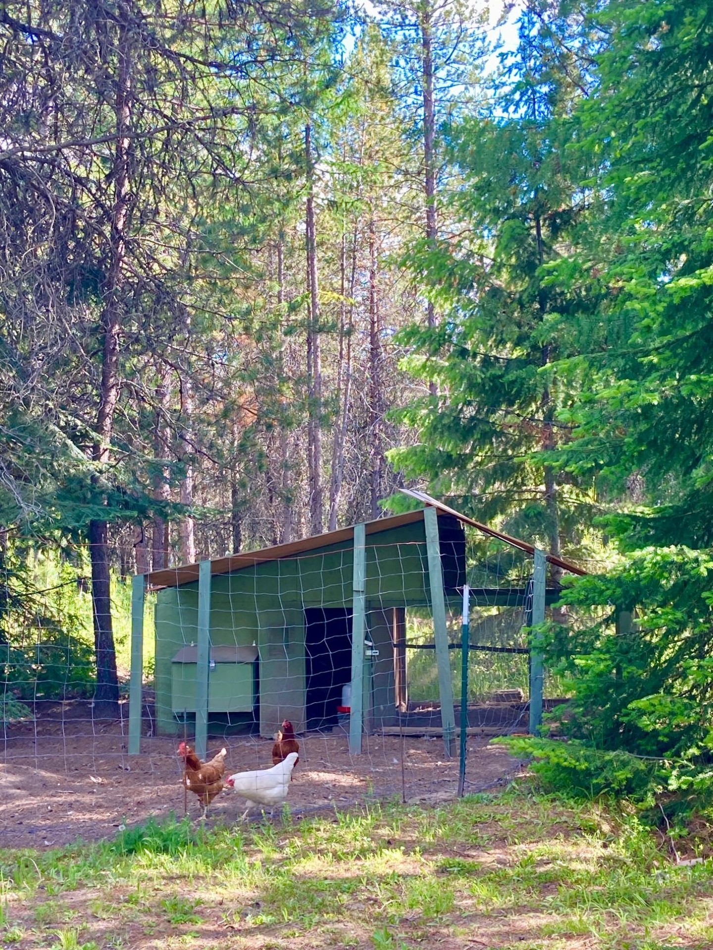 
                        Property photograph at
                        1496 Q HIGHWAY 20 E
                      