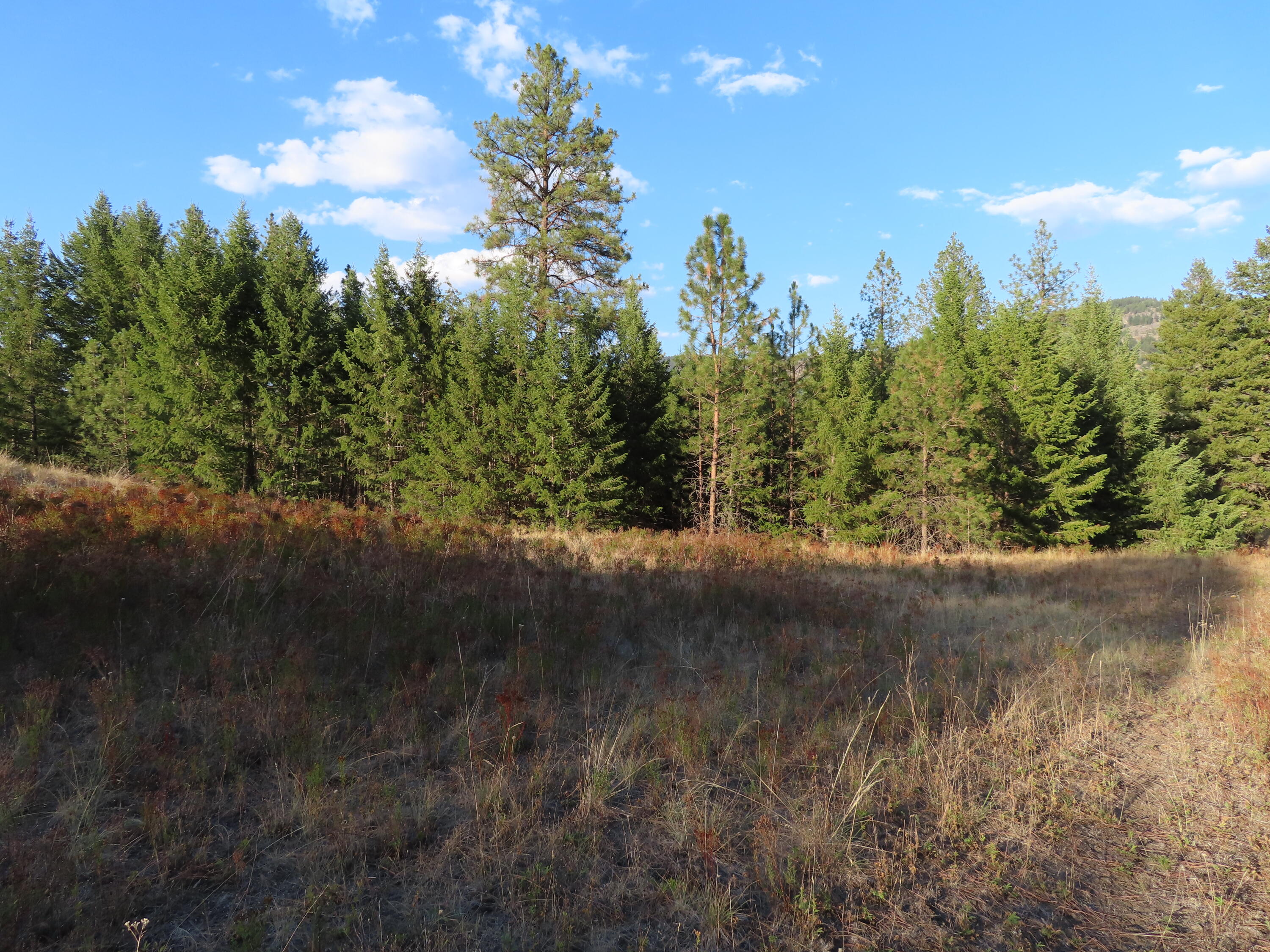 
                        Property photograph at
                        TBD TORODA CREEK RD
                      