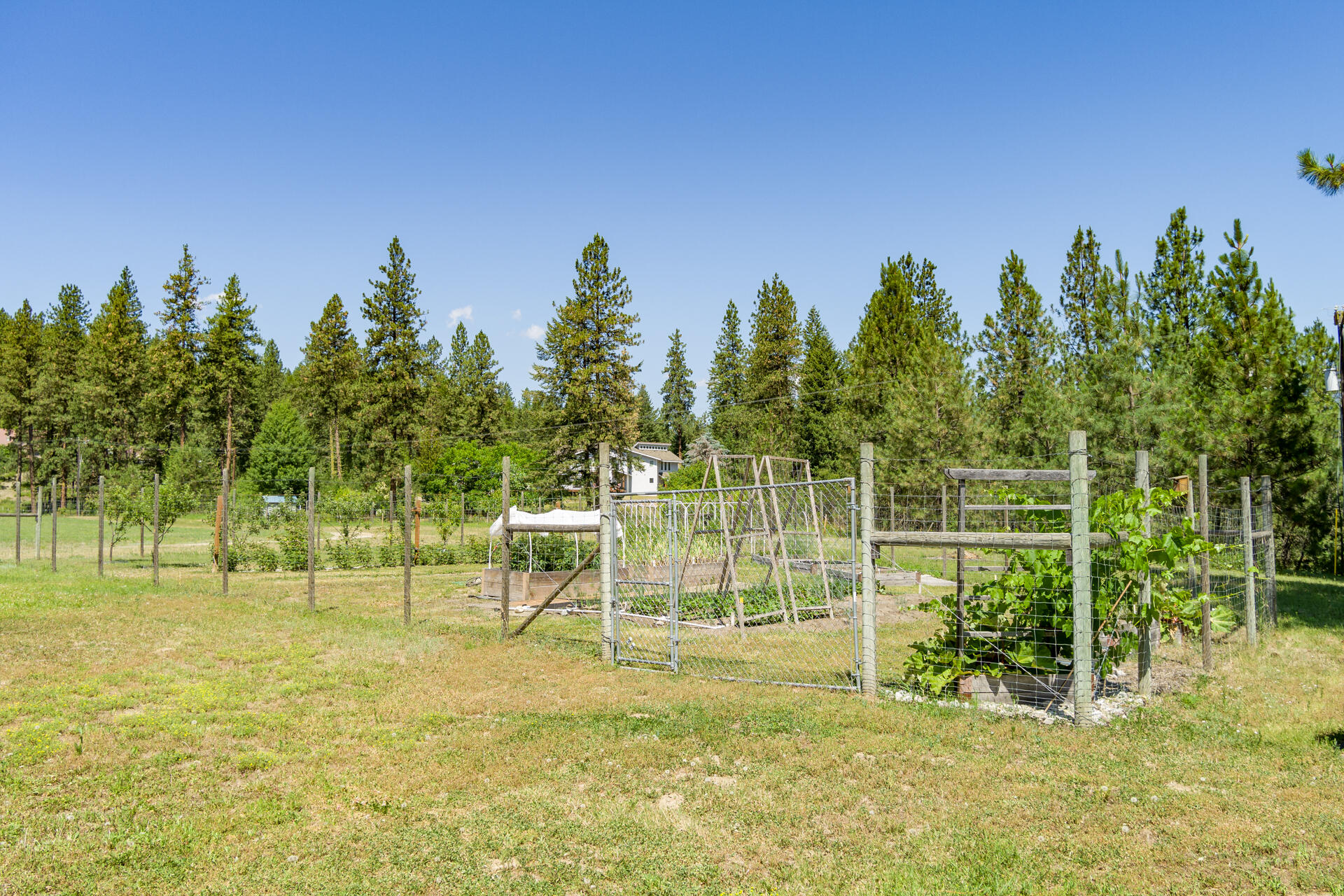 
                        Property photograph at
                        169 BARNABY CREEK SOUTH SIDE RD
                      