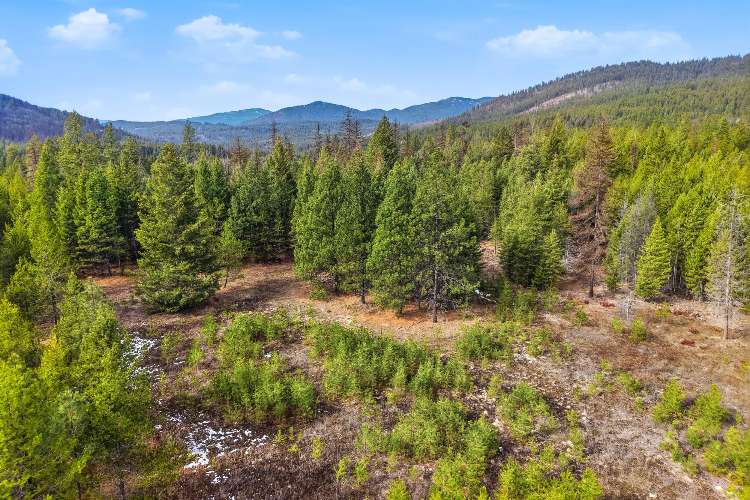 
                        Property photograph at
                        28XX BURNT VALLEY (80AC) RD
                      