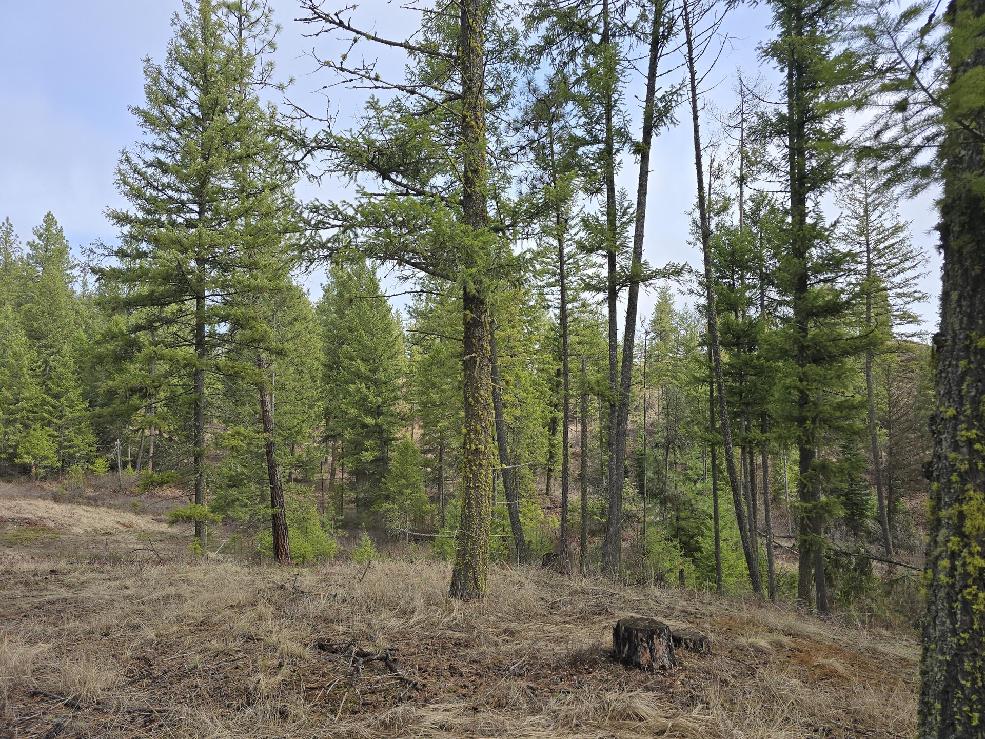 
                        Property photograph at
                        3XX GOLD CREEK RD
                      