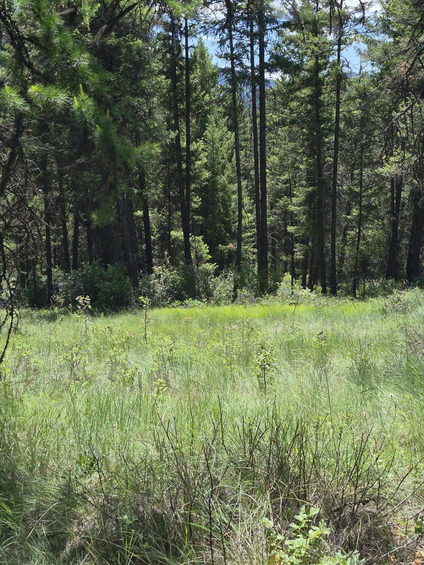 
                        Property photograph at
                        2094 CLUGSTON ONION CREEK RD
                      