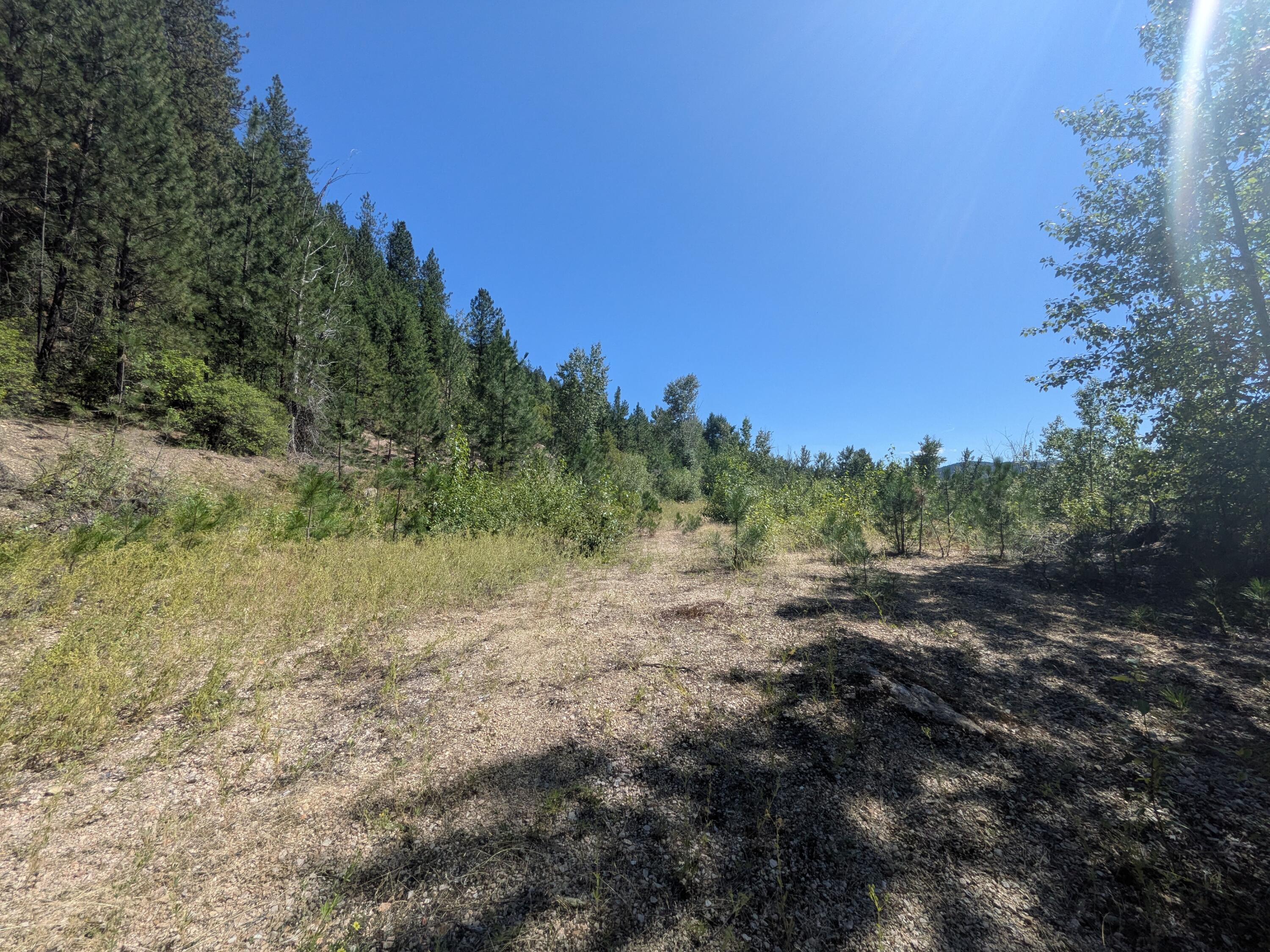 
                        Property photograph at
                        1475 US-395
                      