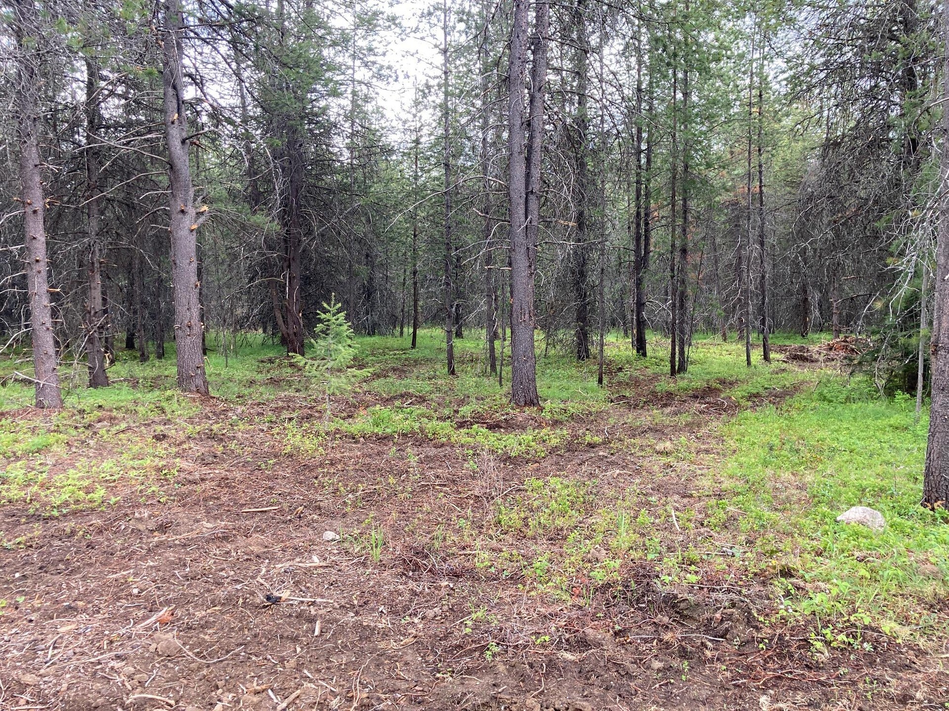
                        Property photograph at
                        1496 E HWY 20 XX
                      