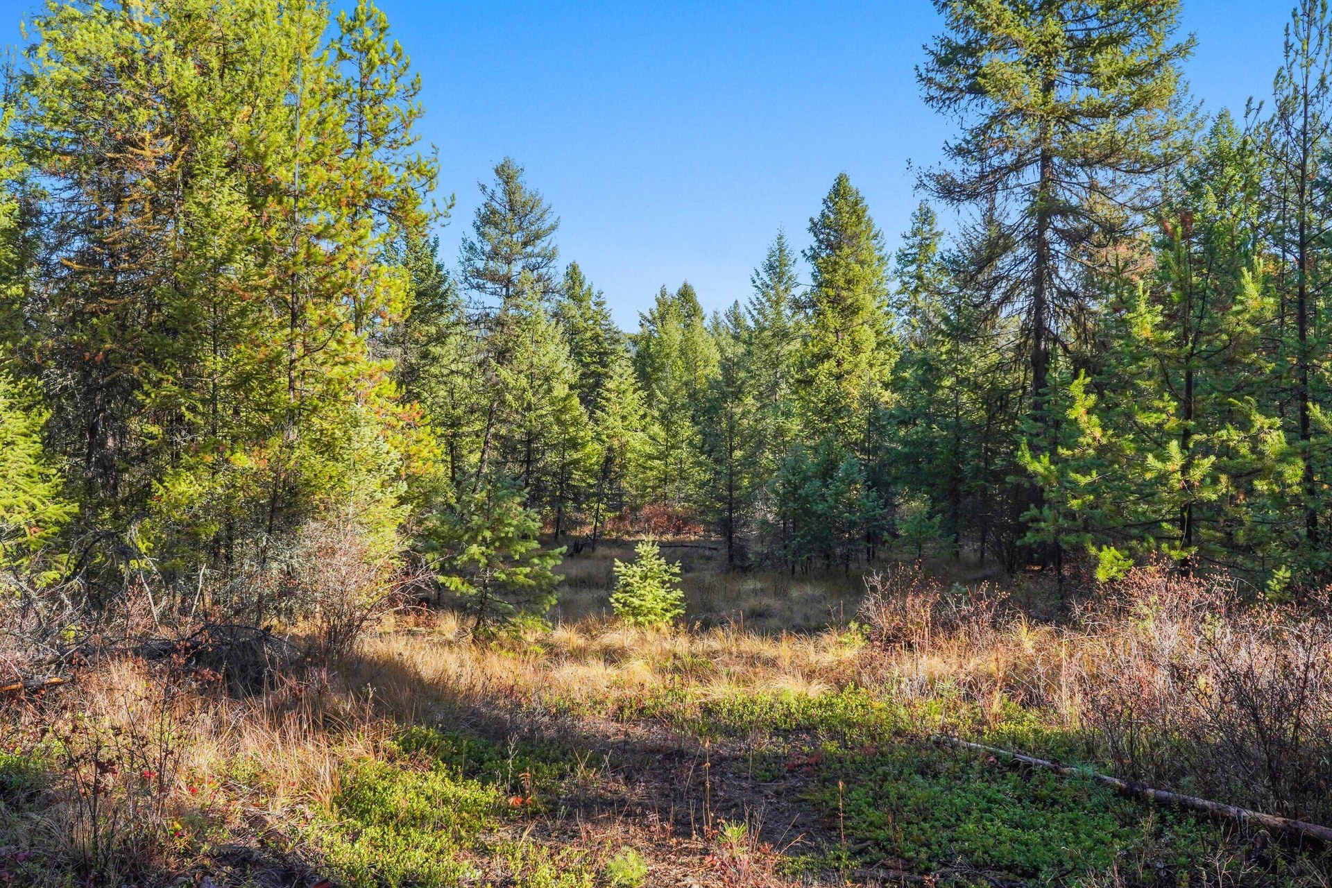 
                        Property photograph at
                        2094 CLUGSTON ONION CREEK RD
                      
