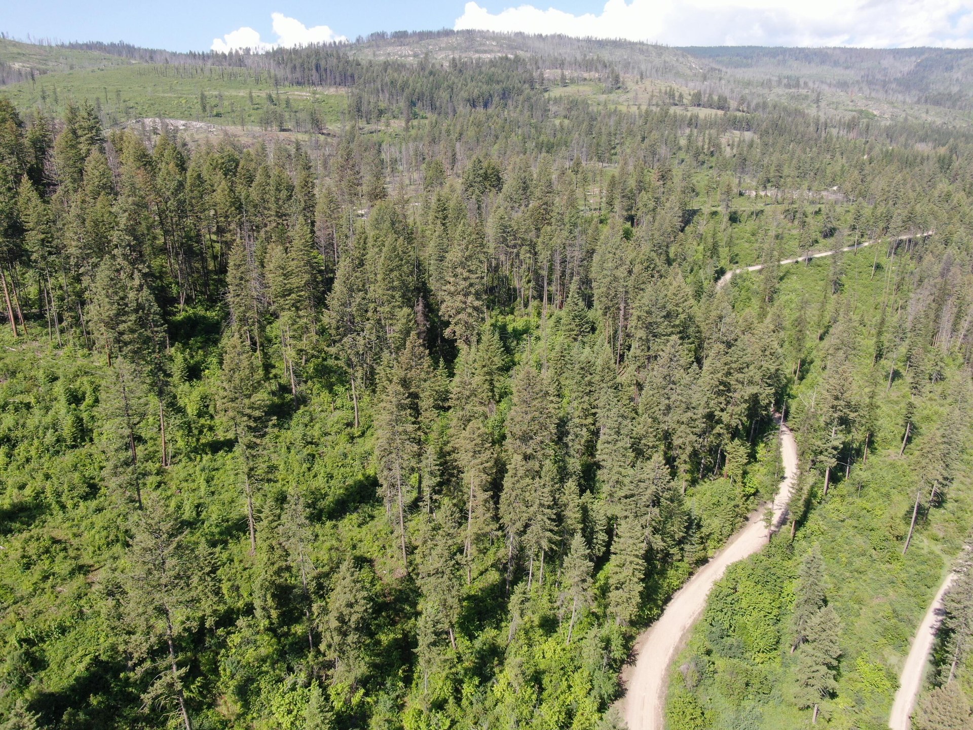 
                        Property photograph at
                        LOT 4 MATSEN CREEK RD
                      
