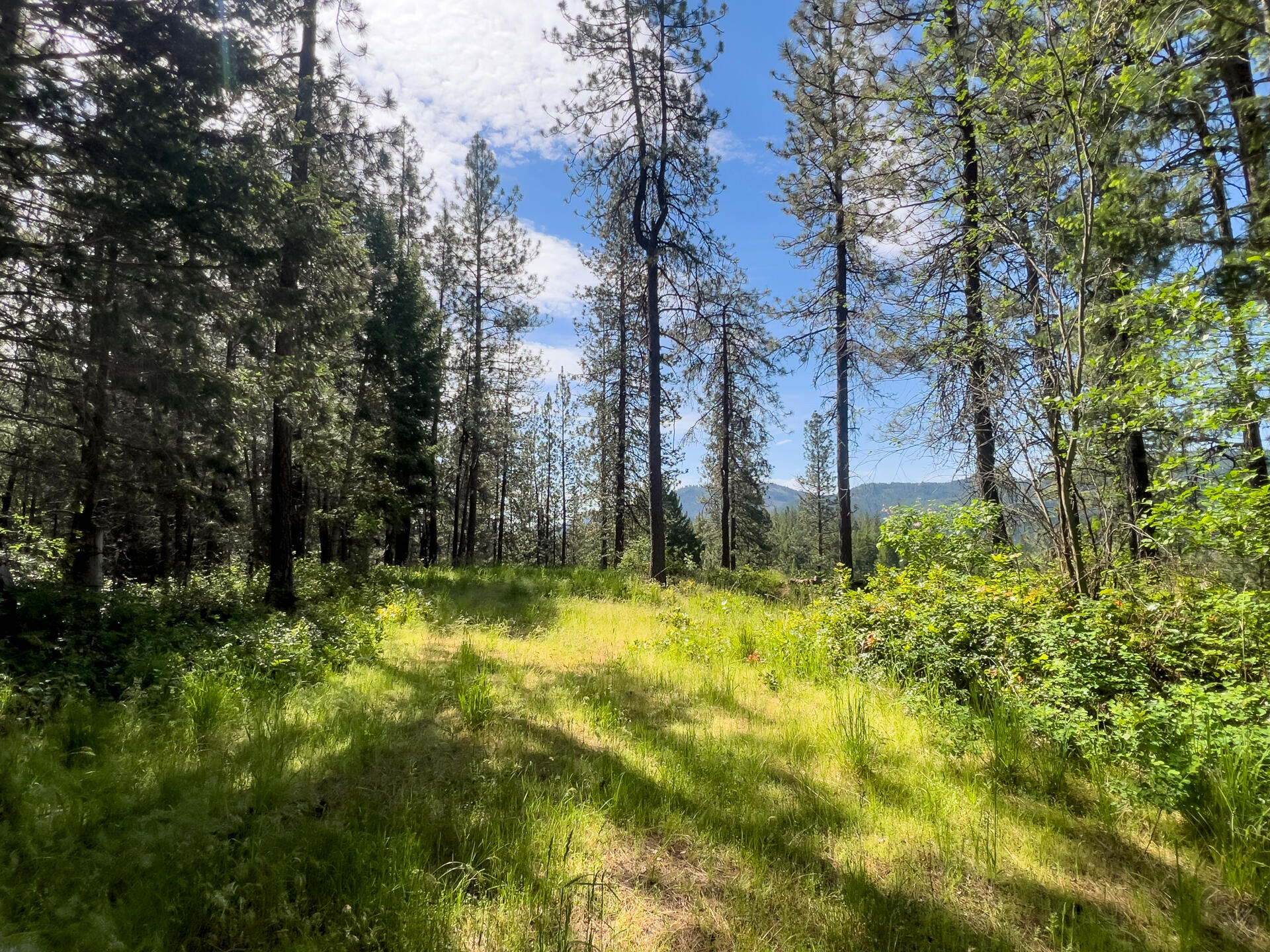 
                        Property photograph at
                        1763-I U.S. 395
                      