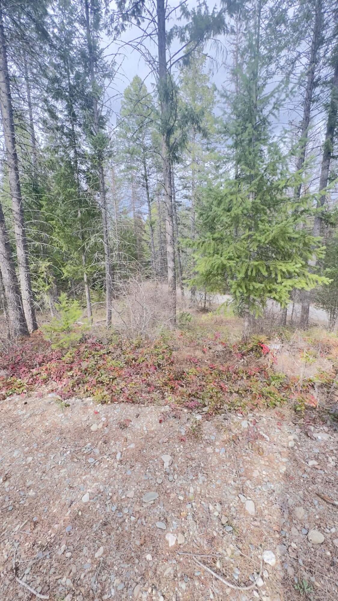 
                        Property photograph at
                        NKN WILDERNESS AVE
                      