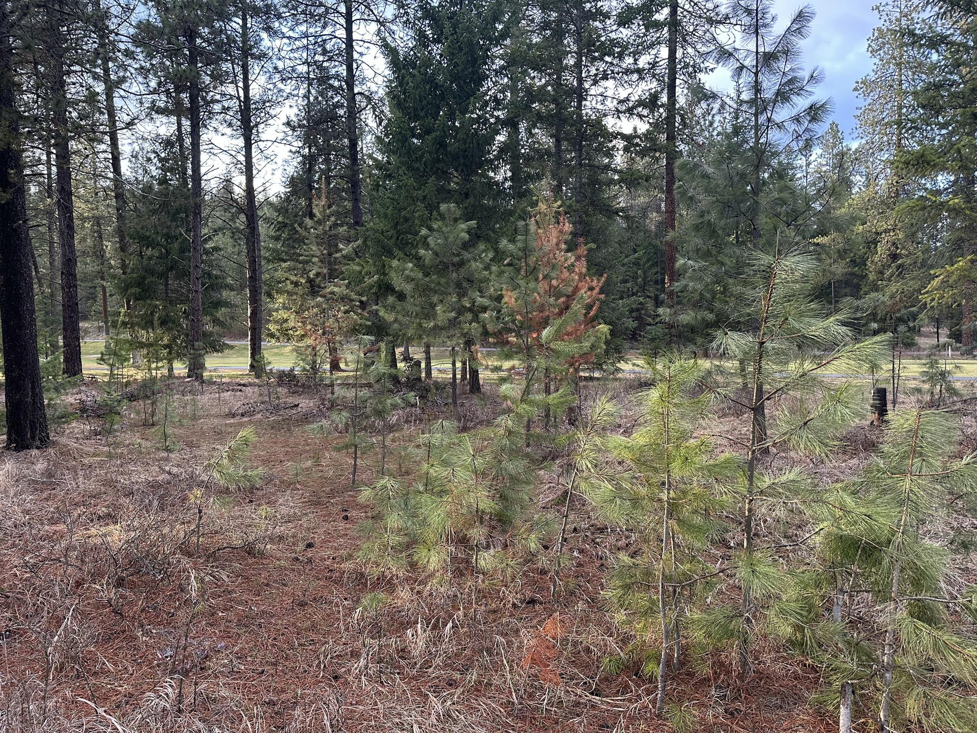 
                        Property photograph at
                        102 W TRAPPERS LOOP
                      