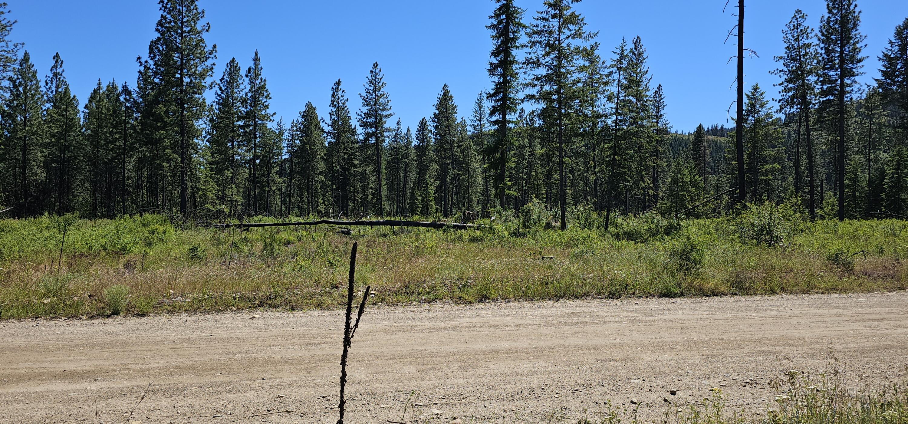 
                        Property photograph at
                        20X LYNX CREEK RD
                      