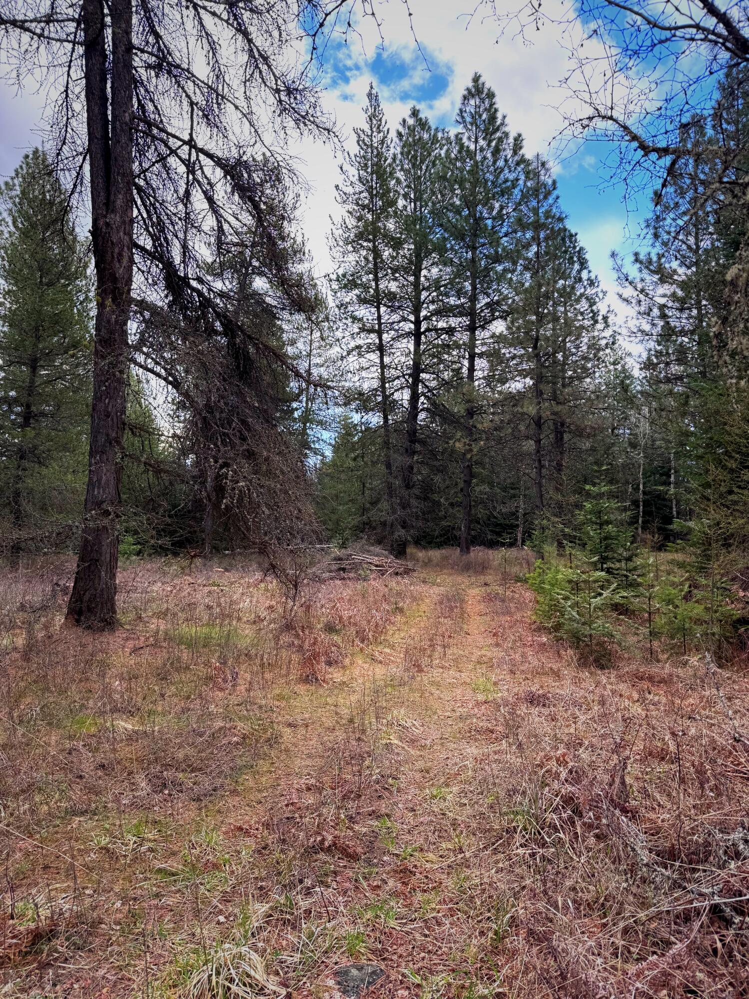 
                        Property photograph at
                        2XXX BLK E ELOIKA LAKE RD
                      