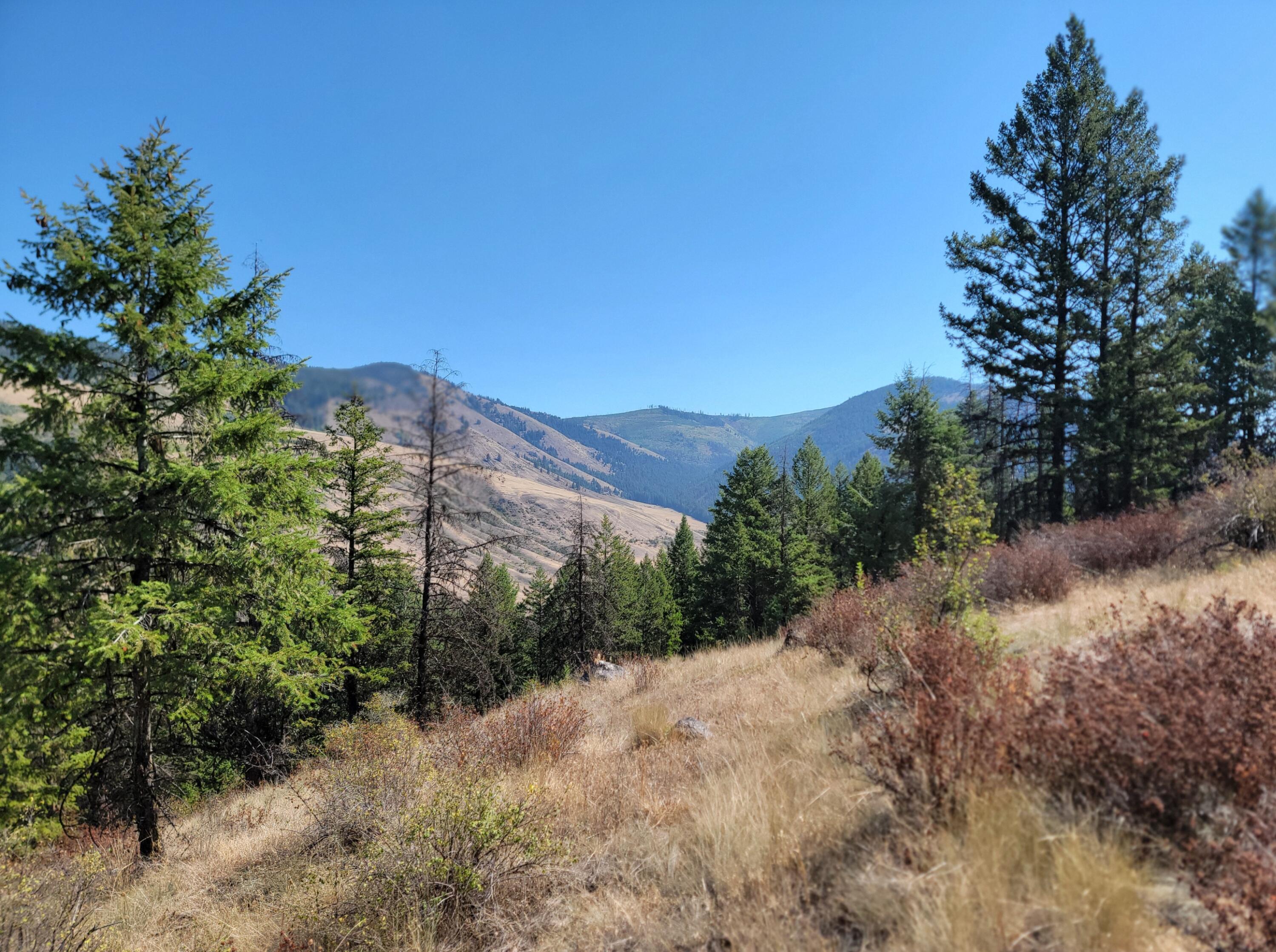 
            Exterior of
            TBD LONE RANCH RD
          